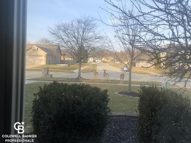 46602 Meadowview Drive, Shelby, MI 48317 — Photo 36