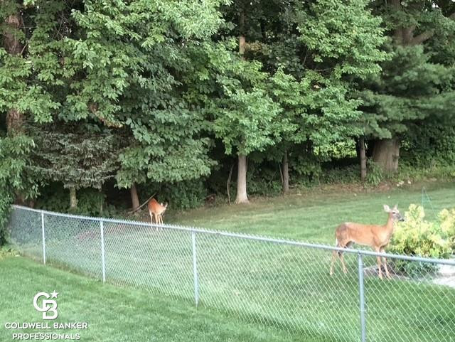 46602 Meadowview Drive, Shelby, MI 48317 — Photo 37