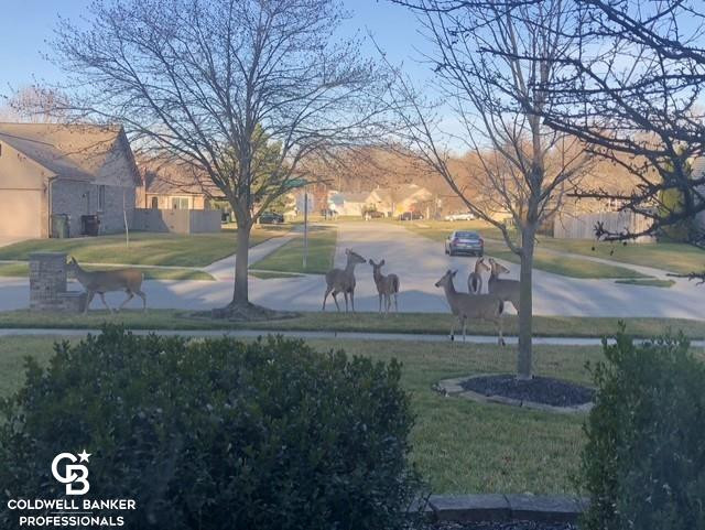 46602 Meadowview Drive, Shelby, MI 48317 — Photo 38