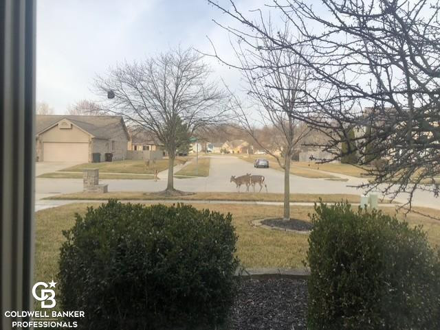 46602 Meadowview Drive, Shelby, MI 48317 — Photo 40
