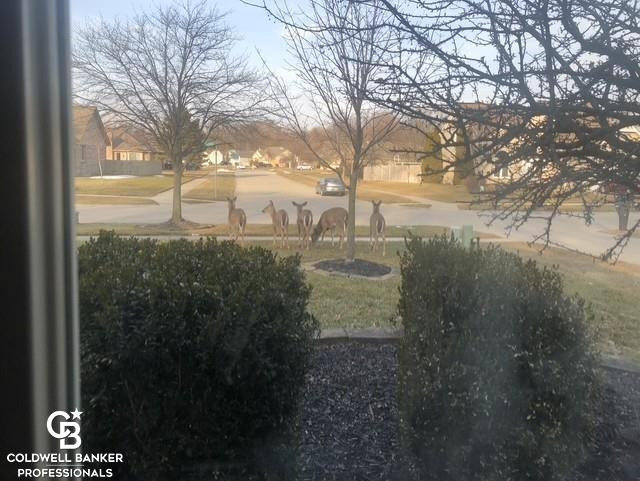 46602 Meadowview Drive, Shelby, MI 48317 — Photo 41