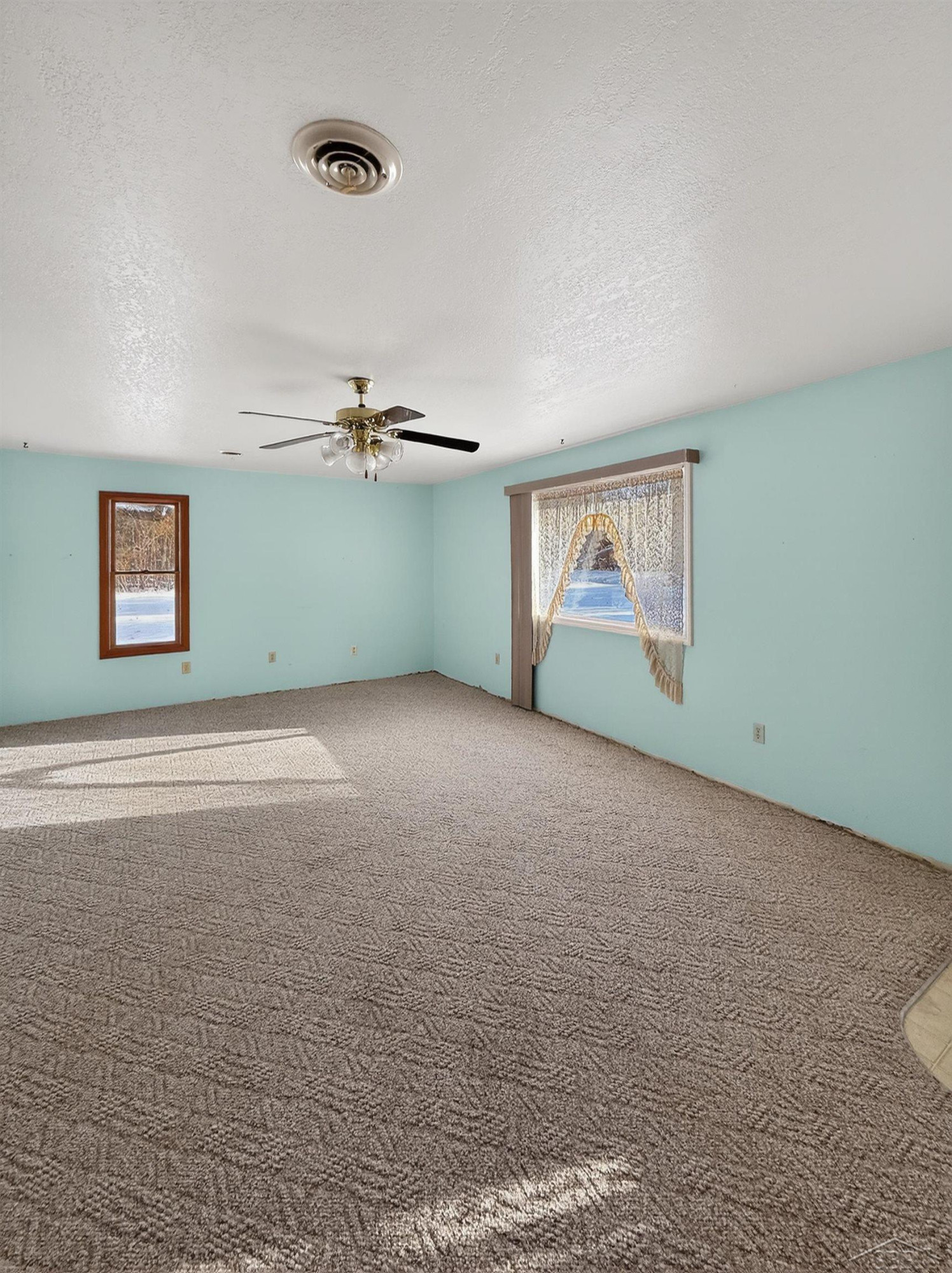 3636 E Nielson Road, Coleman, MI 48618 — Photo 4