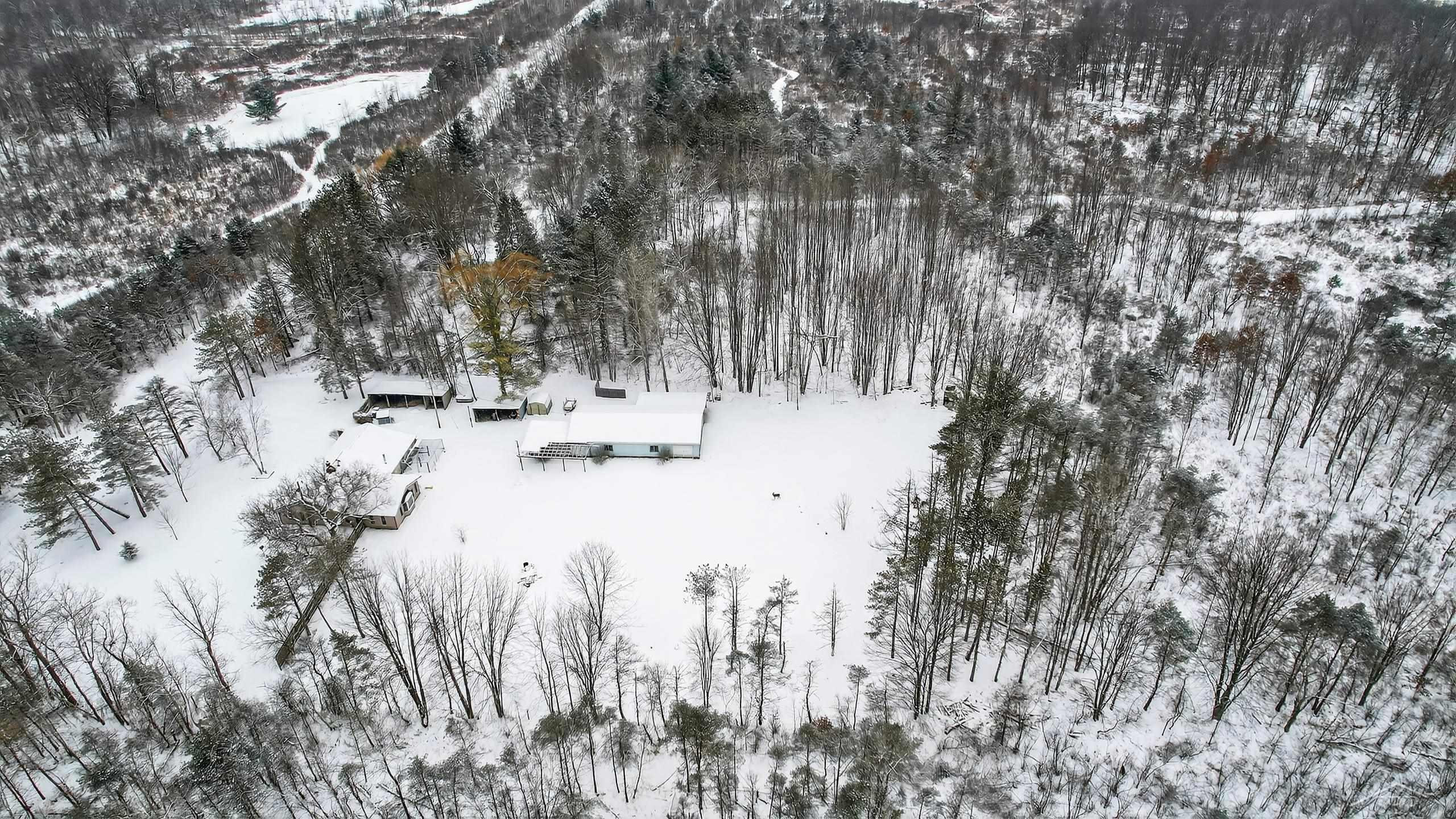 3636 E Nielson Road, Coleman, MI 48618 — Photo 37