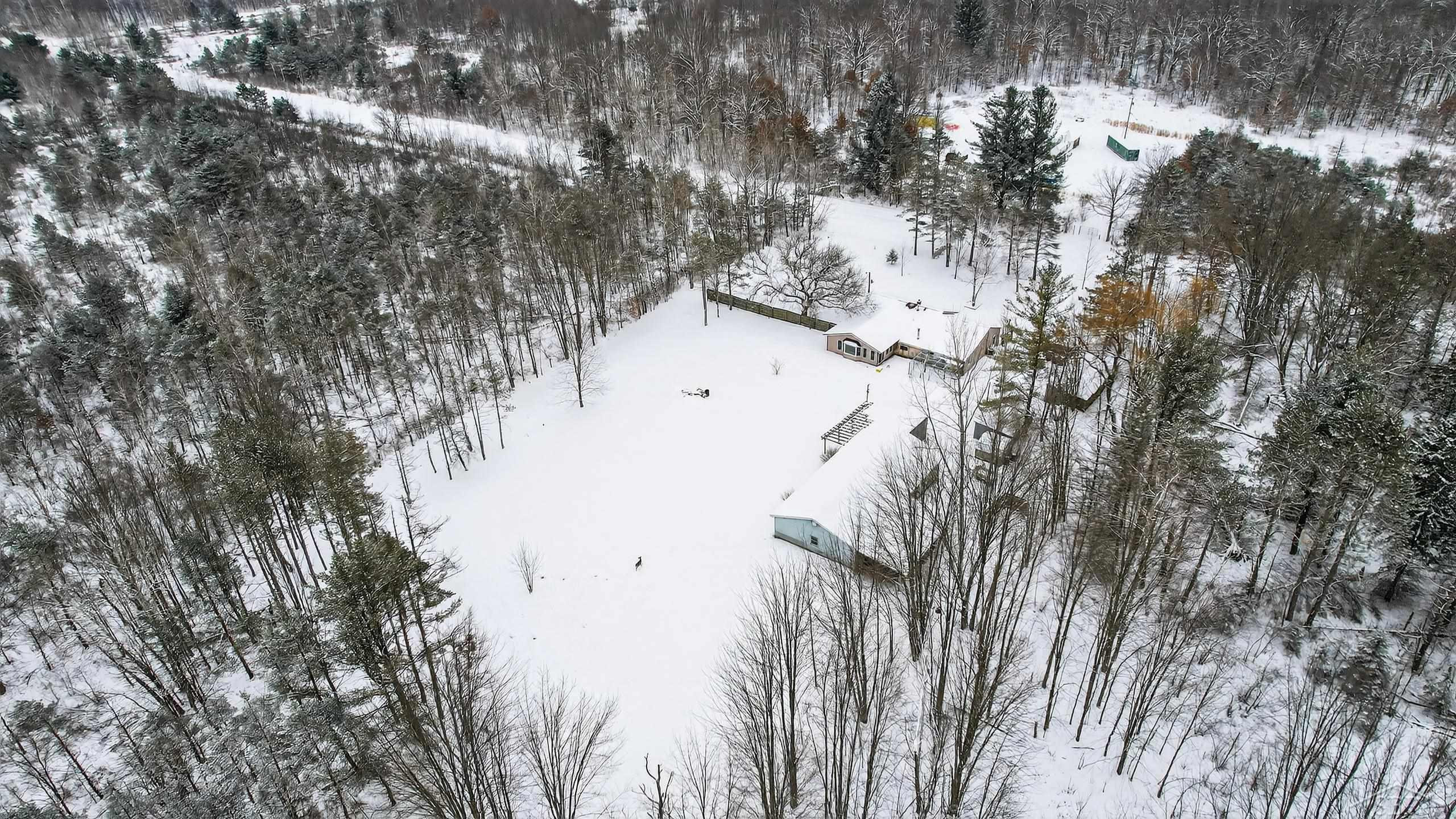 3636 E Nielson Road, Coleman, MI 48618 — Photo 40