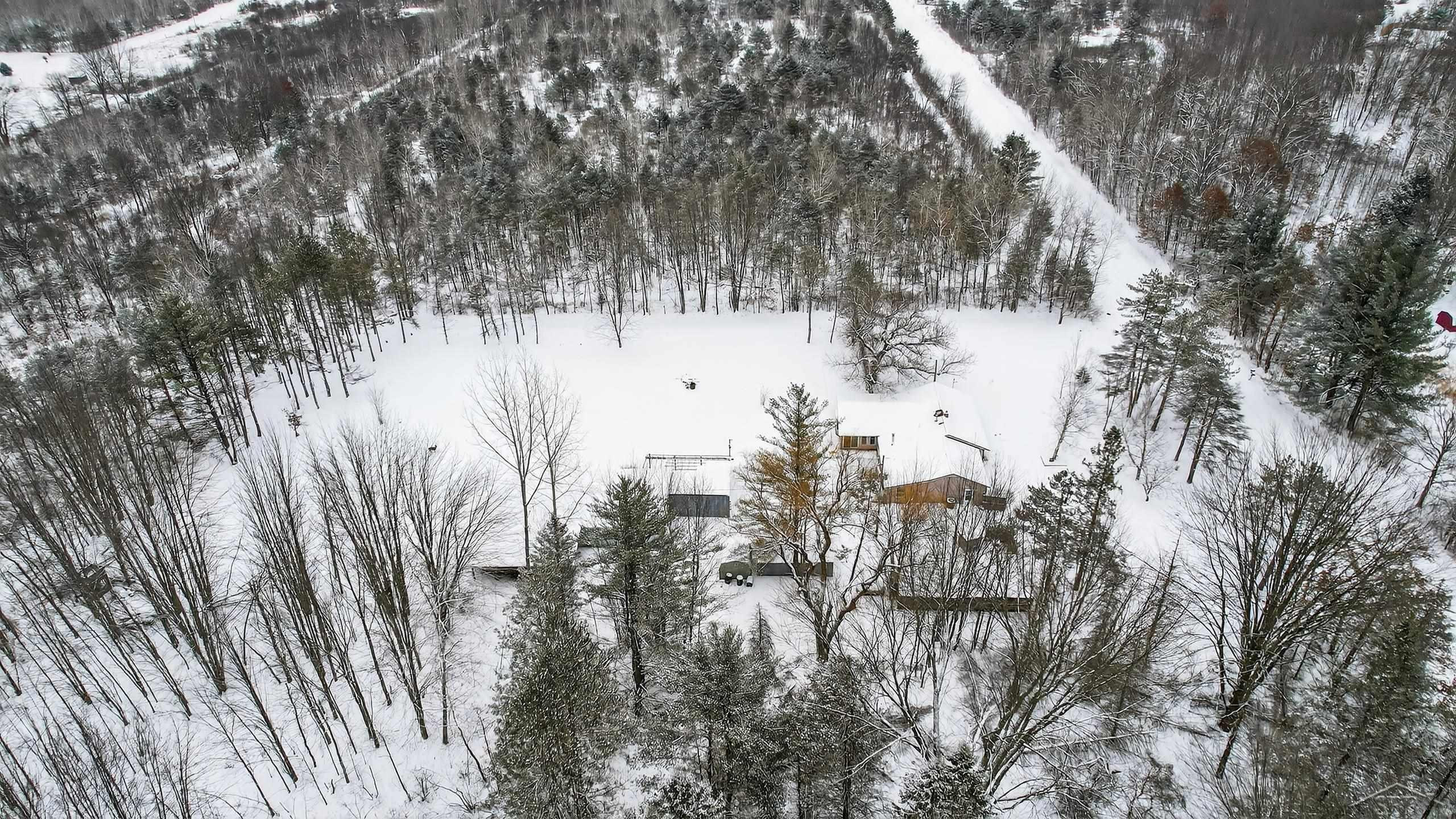 3636 E Nielson Road, Coleman, MI 48618 — Photo 41