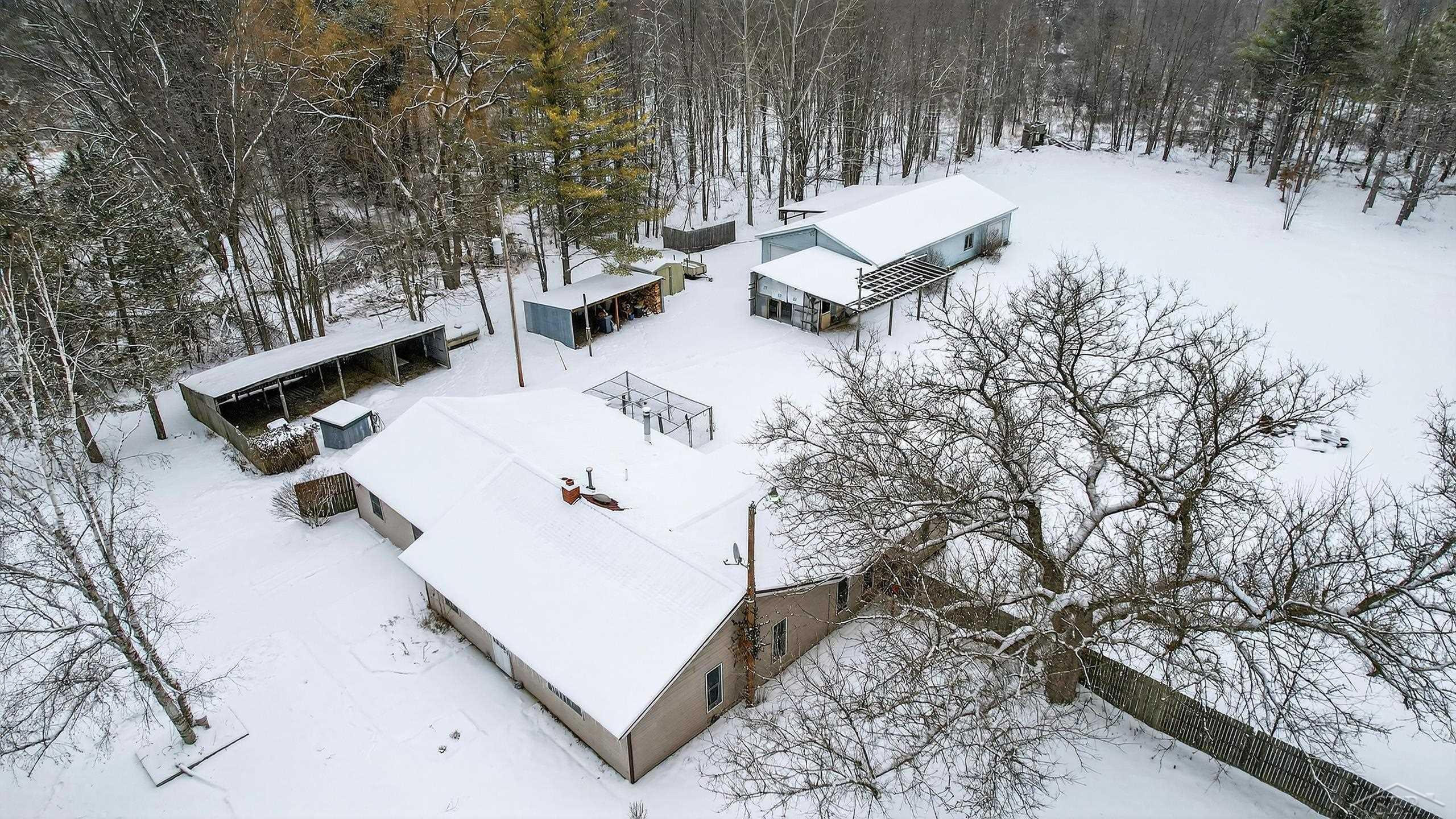 3636 E Nielson Road, Coleman, MI 48618 — Photo 43