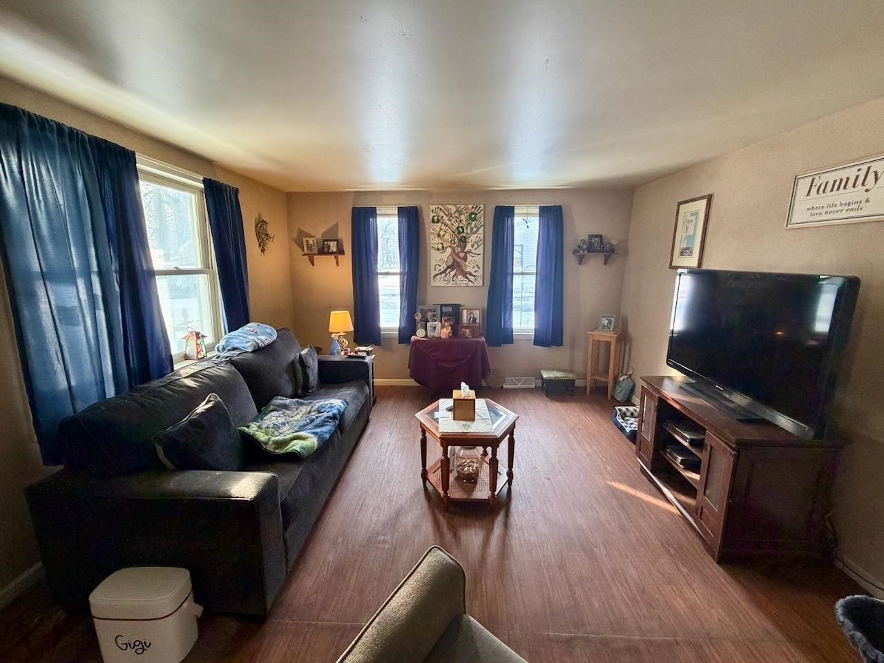 527 N Line Street, Chesaning, MI 48616 — Photo 12