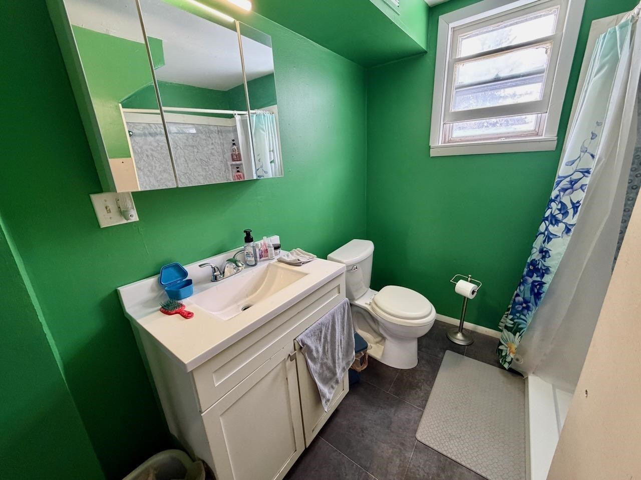 527 N Line Street, Chesaning, MI 48616 — Photo 17