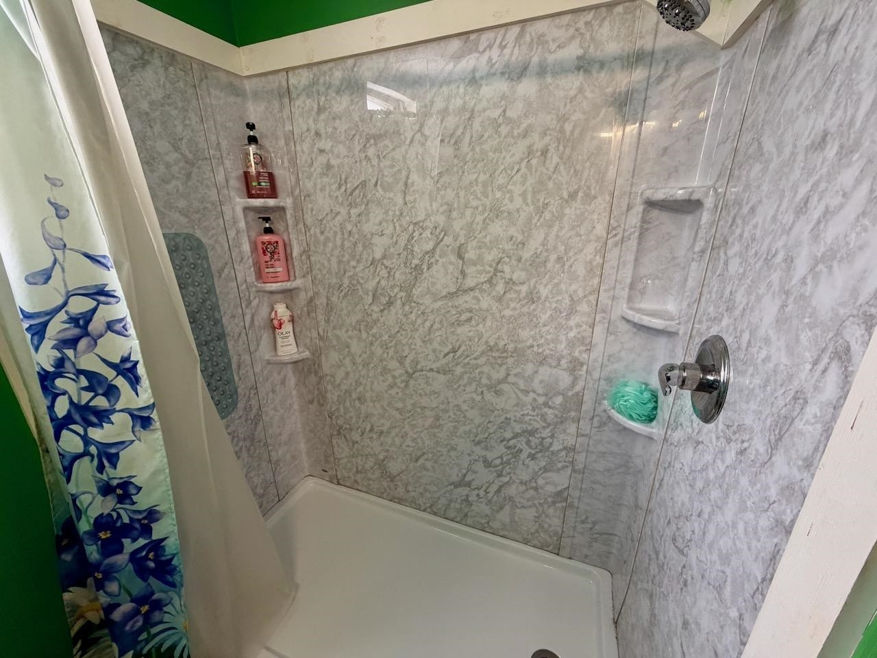 527 N Line Street, Chesaning, MI 48616 — Photo 18