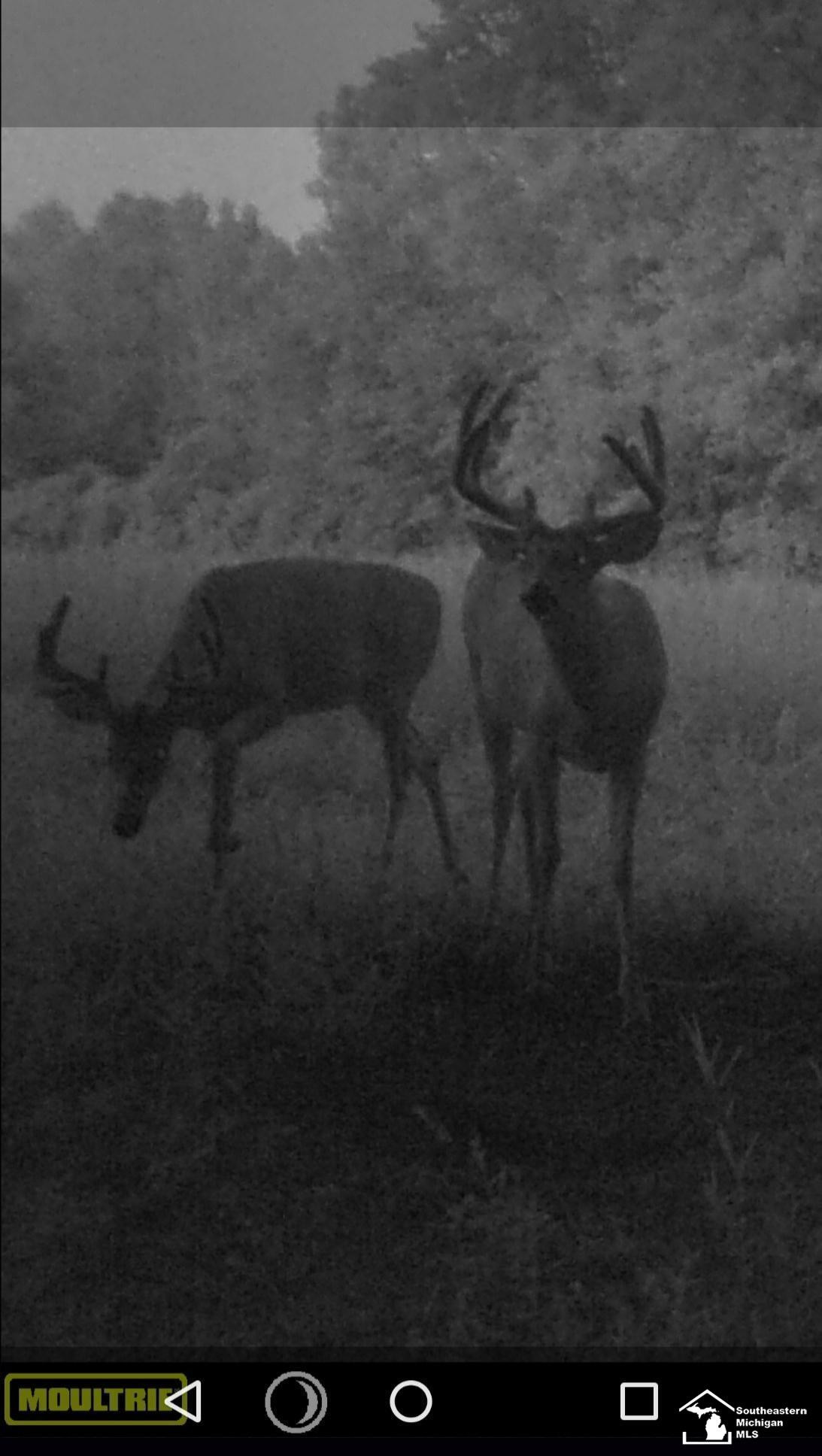 Stewart Road Road, Monroe, MI 48162 — Photo 3