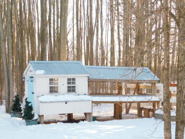 8020 Linden Drive, Almont, MI 48003 — Photo 6