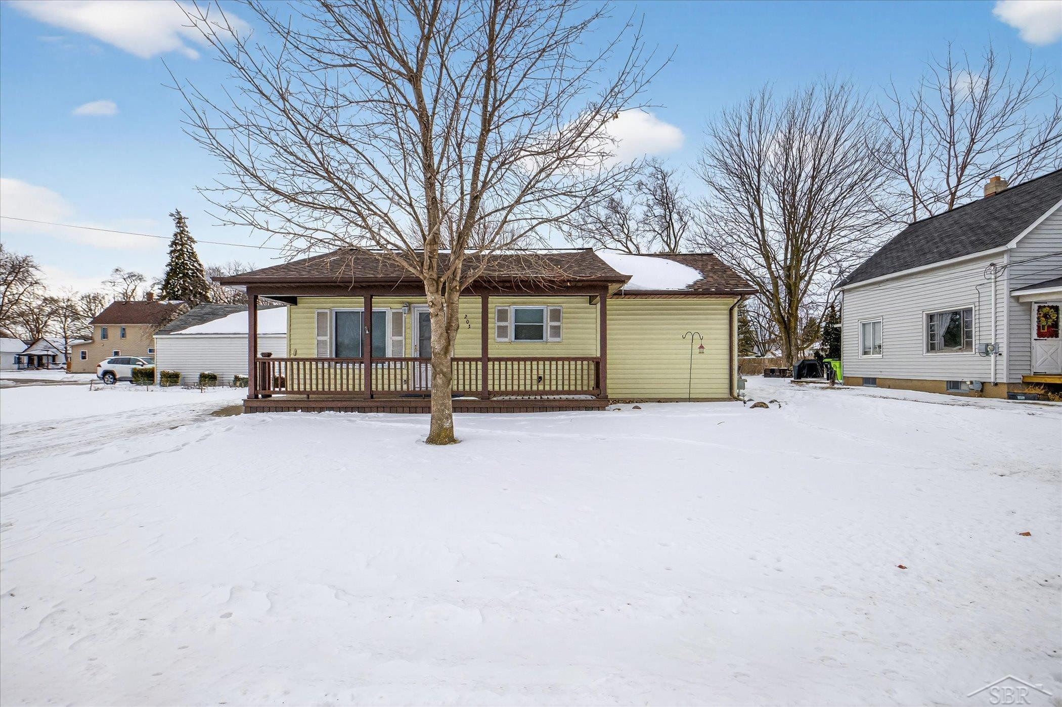 203 Park Avenue, Auburn, MI 48611 — Photo 3