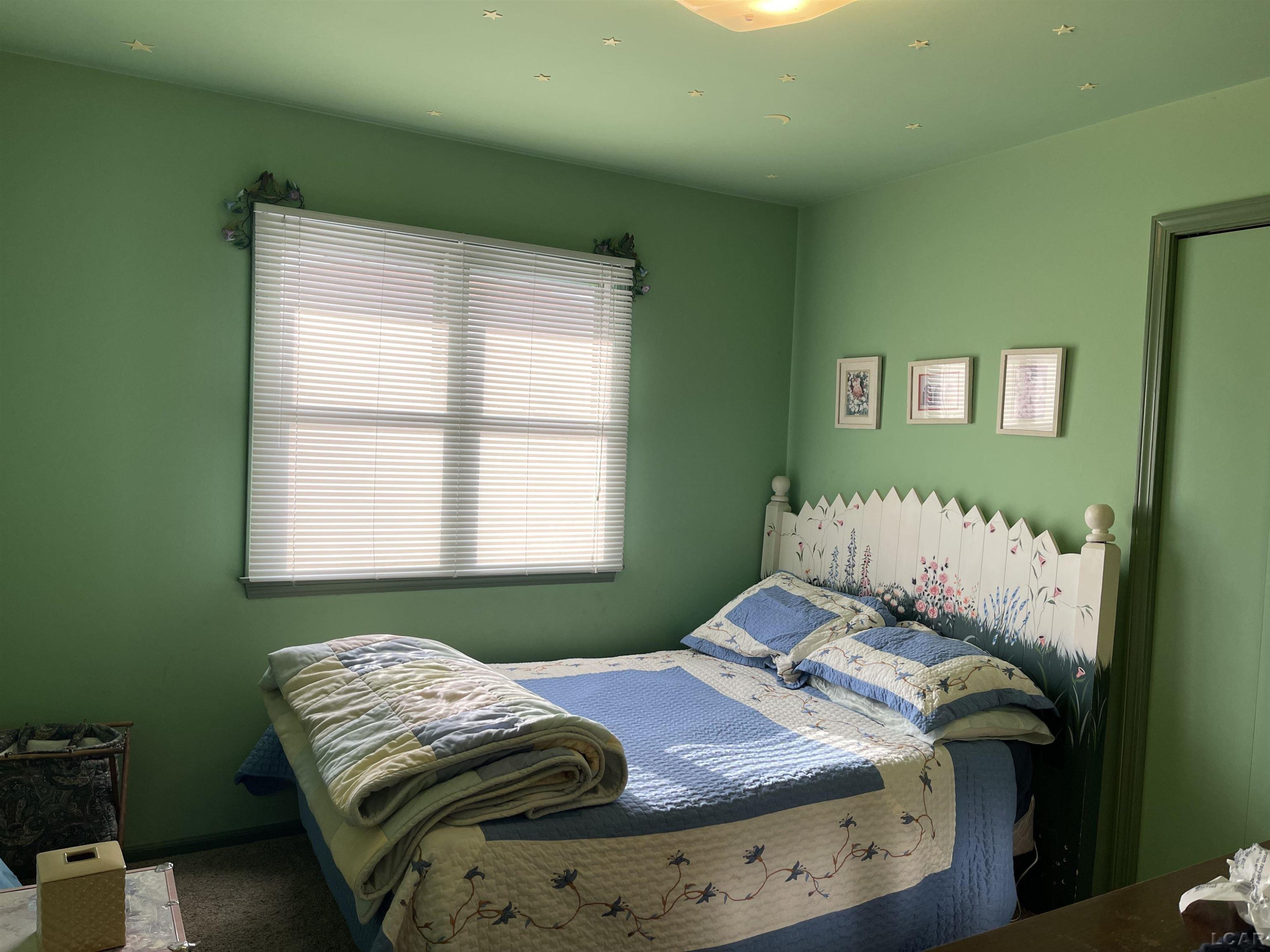 404 Mills Road, Saline, MI 48176 — Photo 9