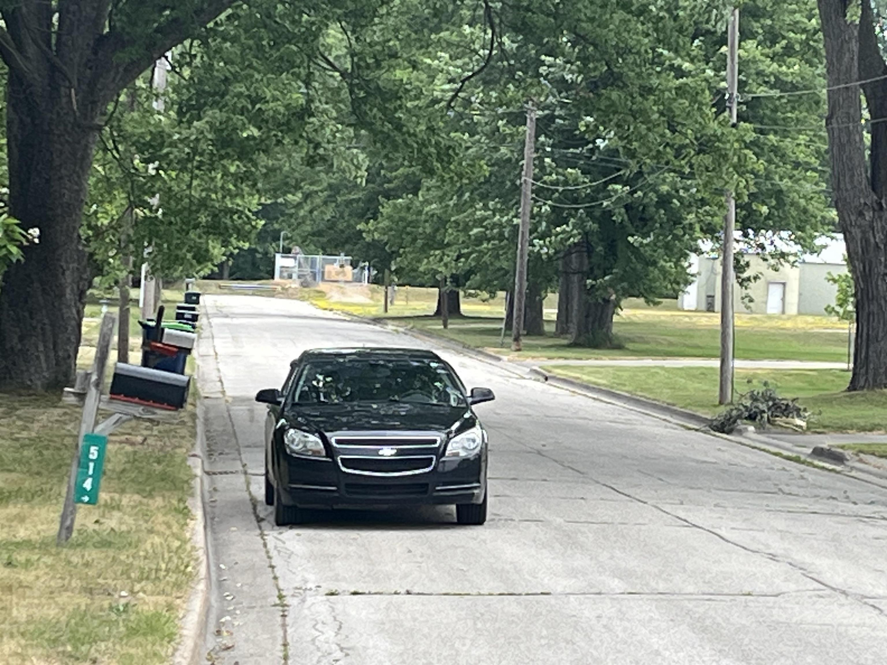VL Maple Street, Saint Charles, MI 48655 — Photo 7