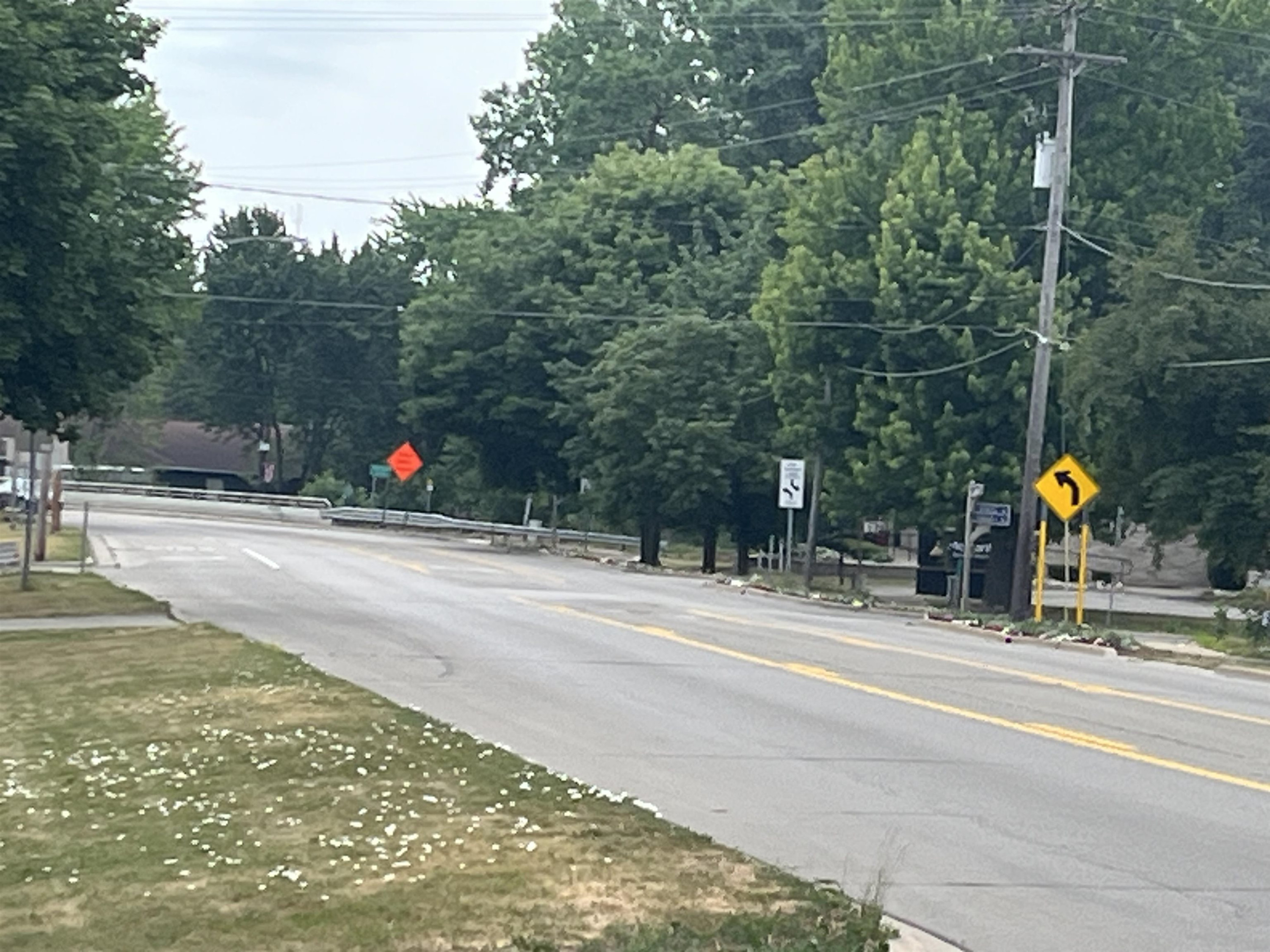 VL Maple Street, Saint Charles, MI 48655 — Photo 8
