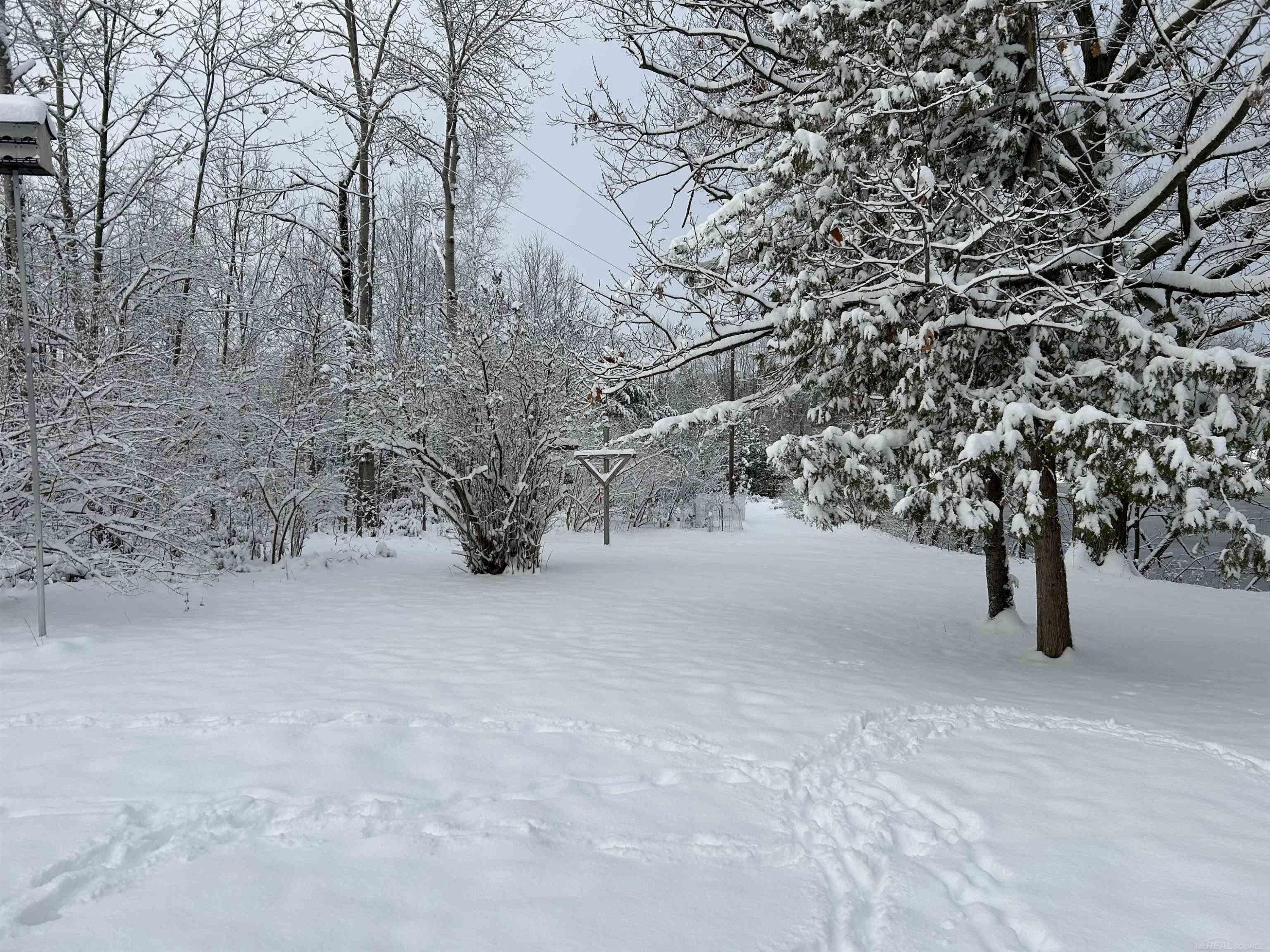 3510 N Branch Drive, Beaverton, MI 48612 — Photo 2