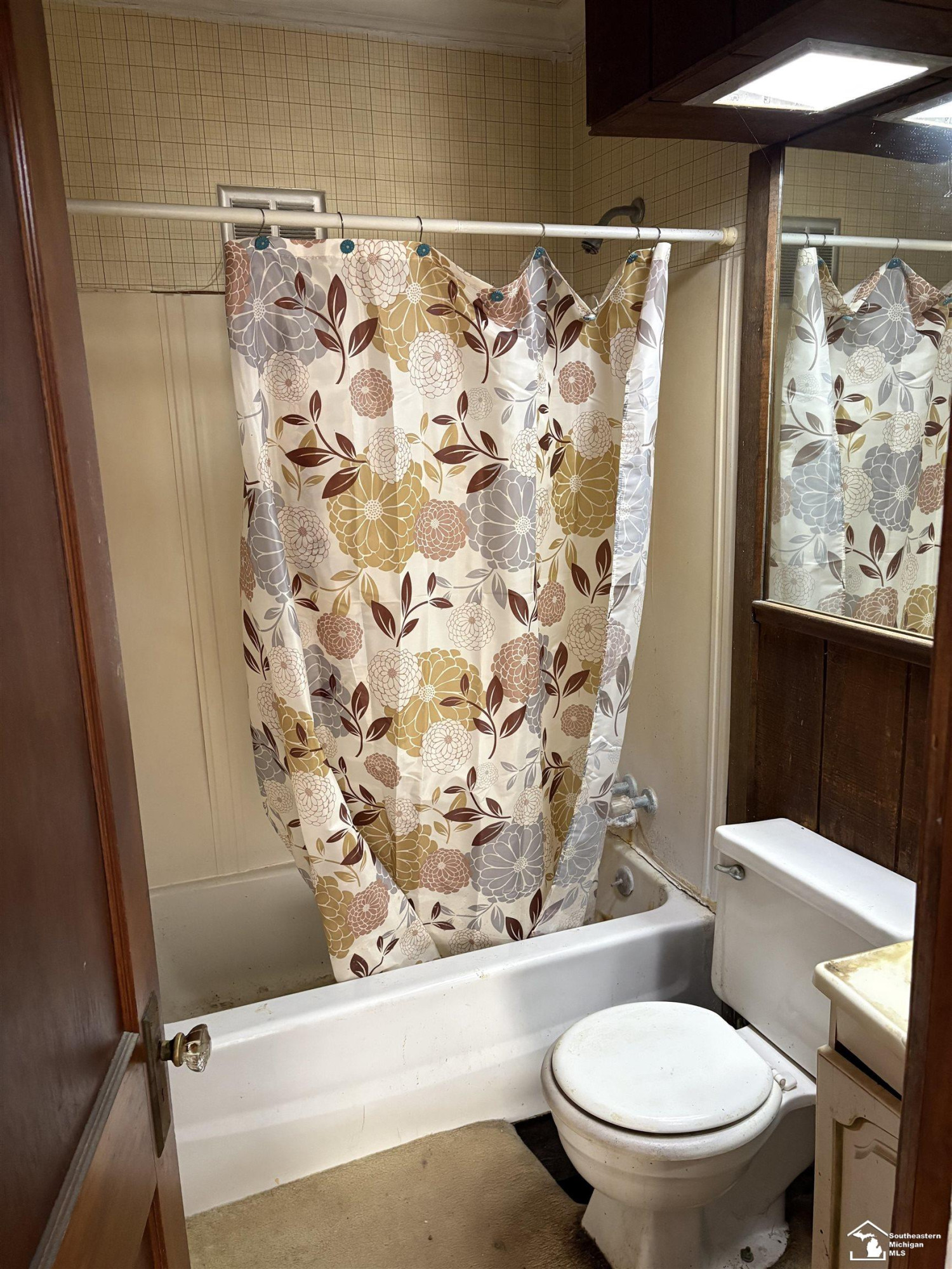2729 Southwick Street, Ida, MI 48140 — Photo 10