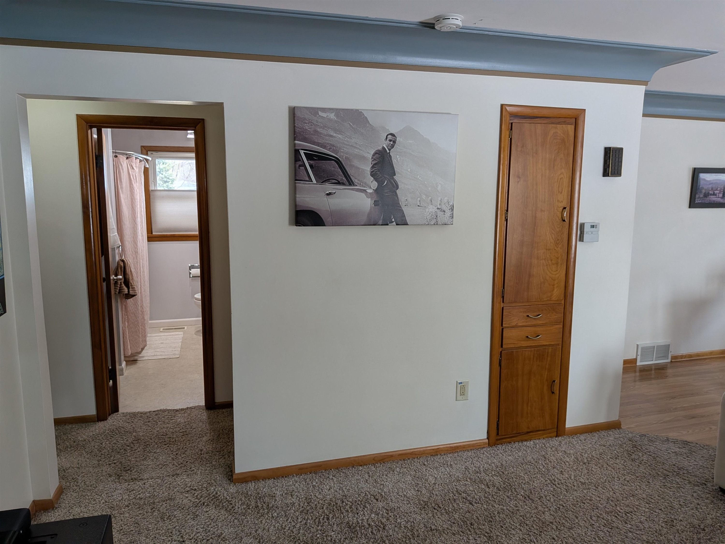 509 E Genesee St. Street, Durand, MI 48429 — Photo 13
