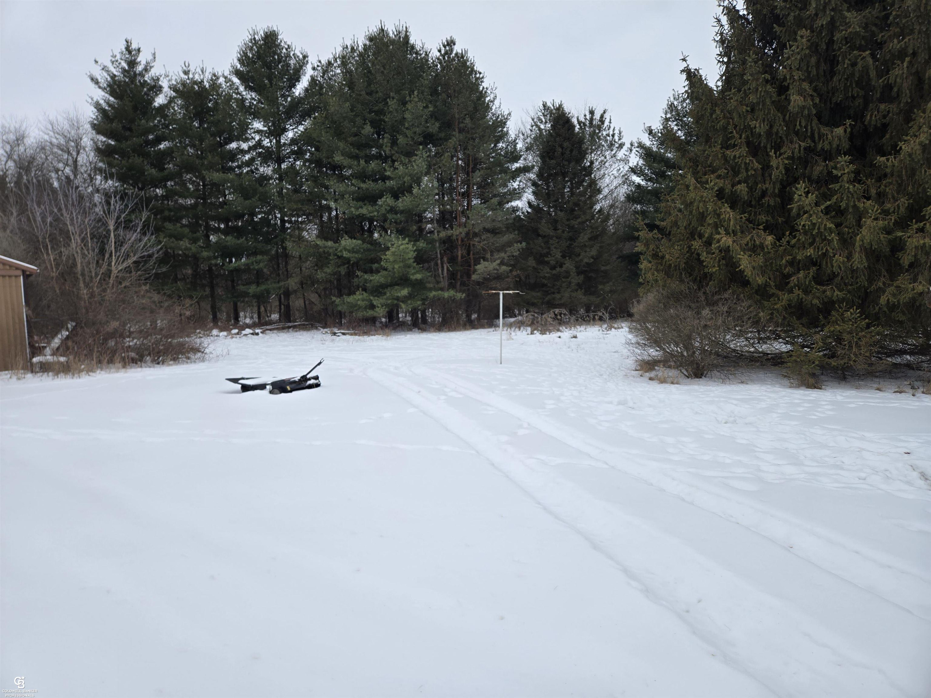 7441 Jordan Road, Yale, MI 48097 — Photo 19