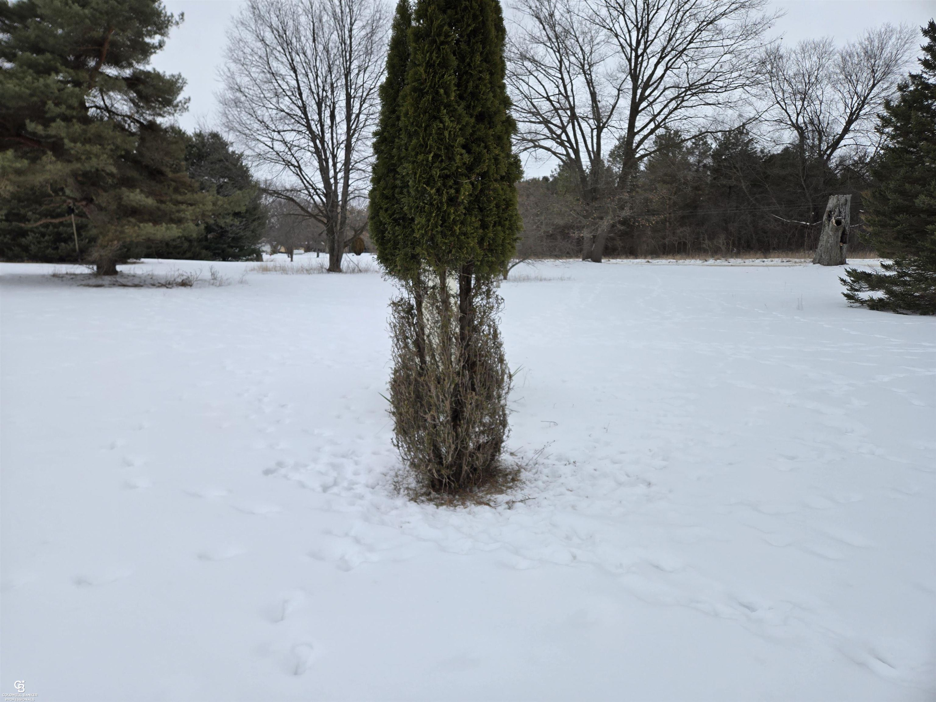 7441 Jordan Road, Yale, MI 48097 — Photo 20