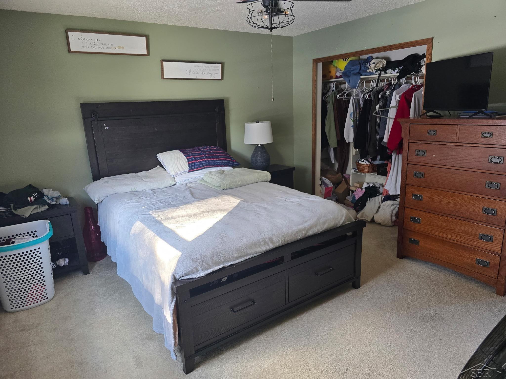 1946 N Mackenzie Lane, Mount Pleasant, MI 48858 — Photo 10