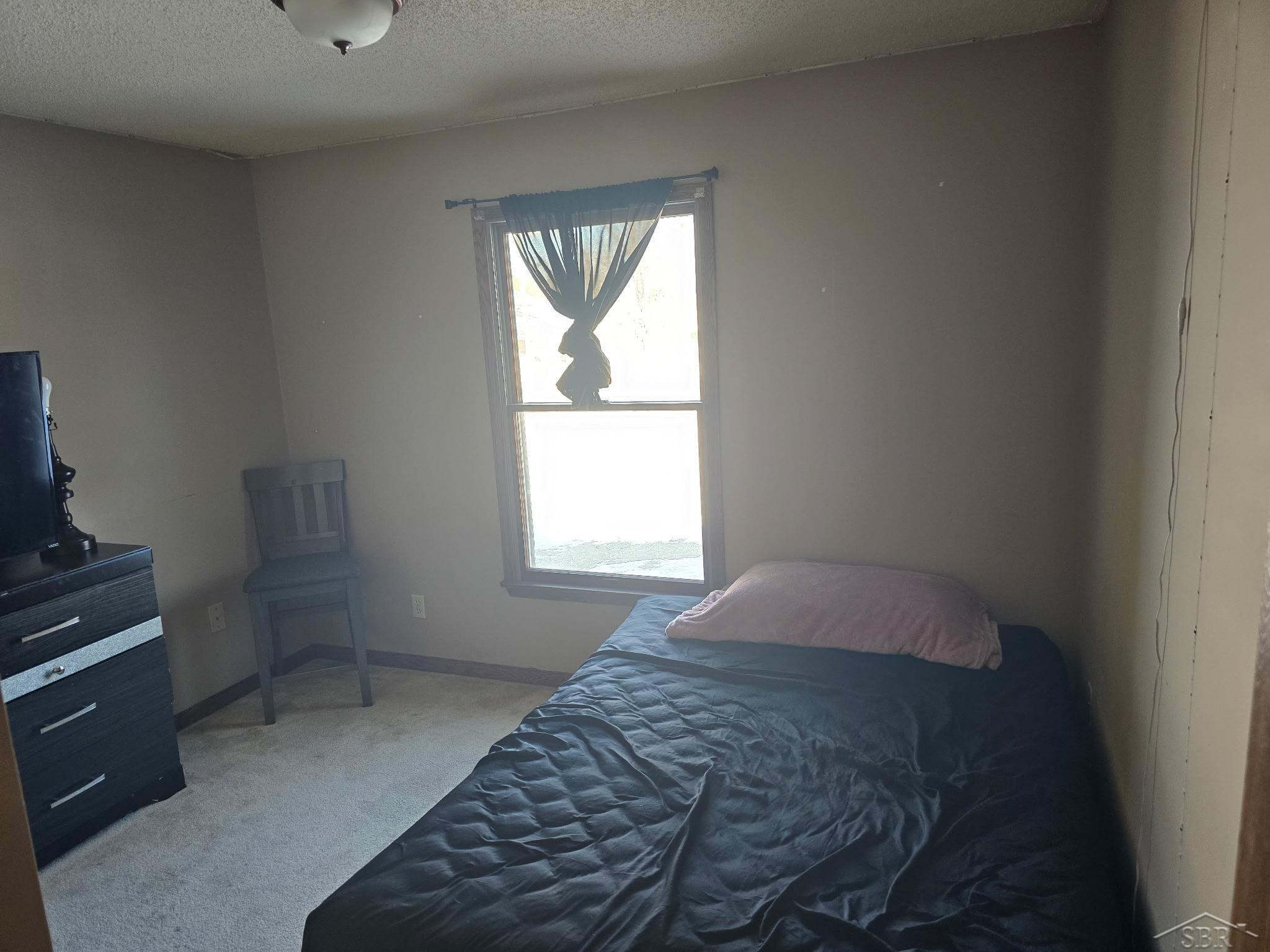 1946 N Mackenzie Lane, Mount Pleasant, MI 48858 — Photo 11
