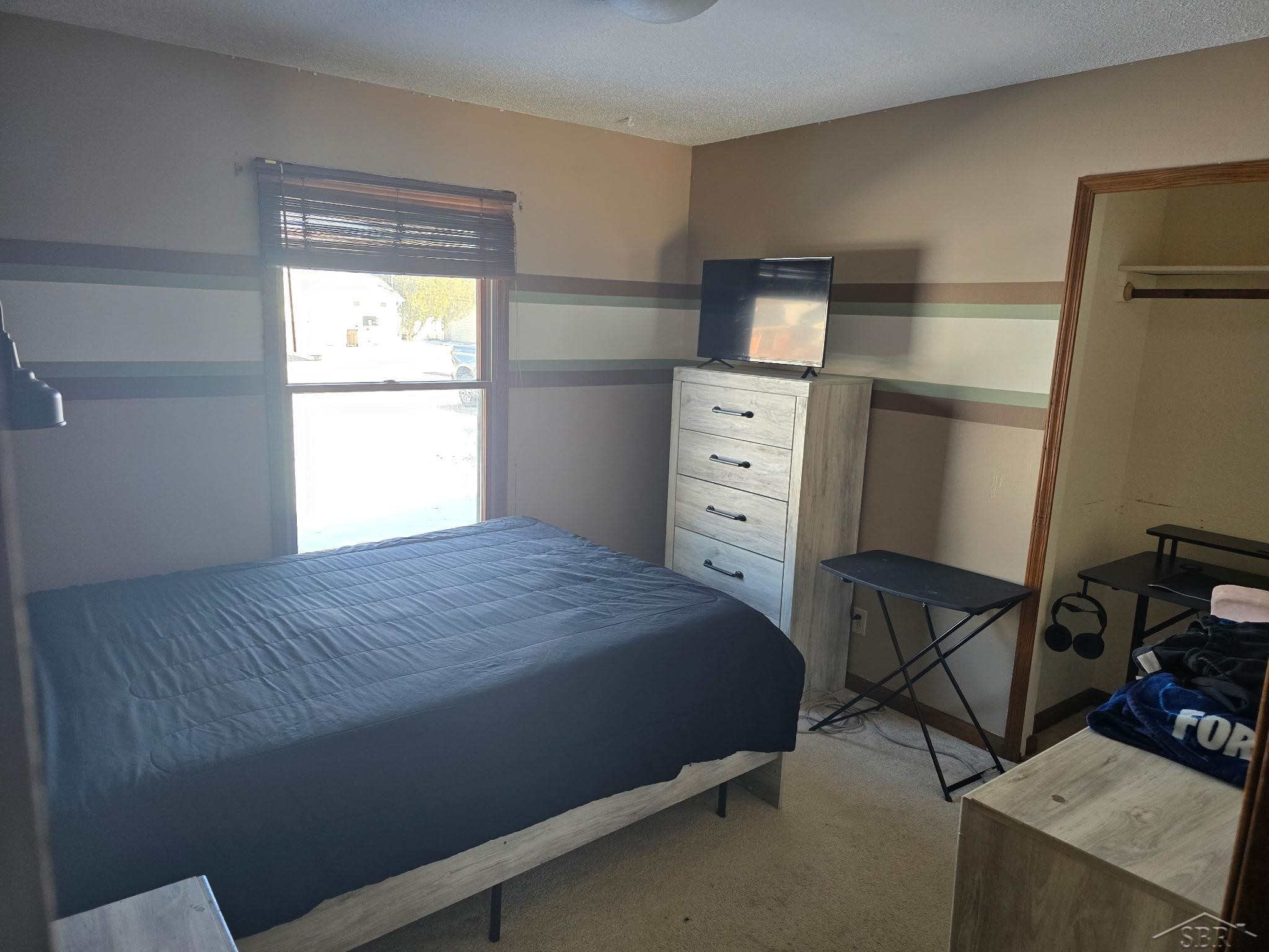 1946 N Mackenzie Lane, Mount Pleasant, MI 48858 — Photo 13