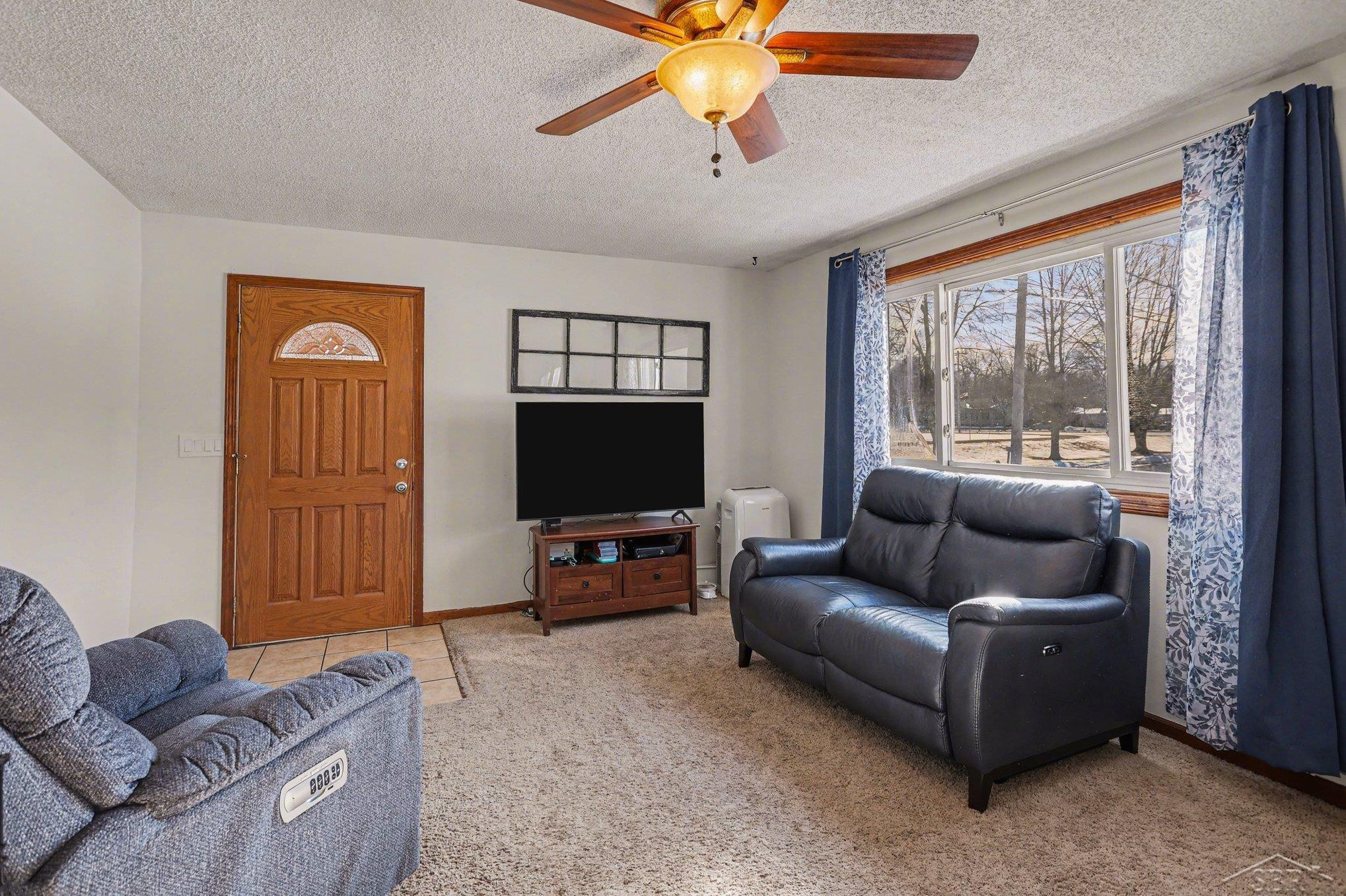 123 E Spruce Street, Saint Charles, MI 48655 — Photo 4