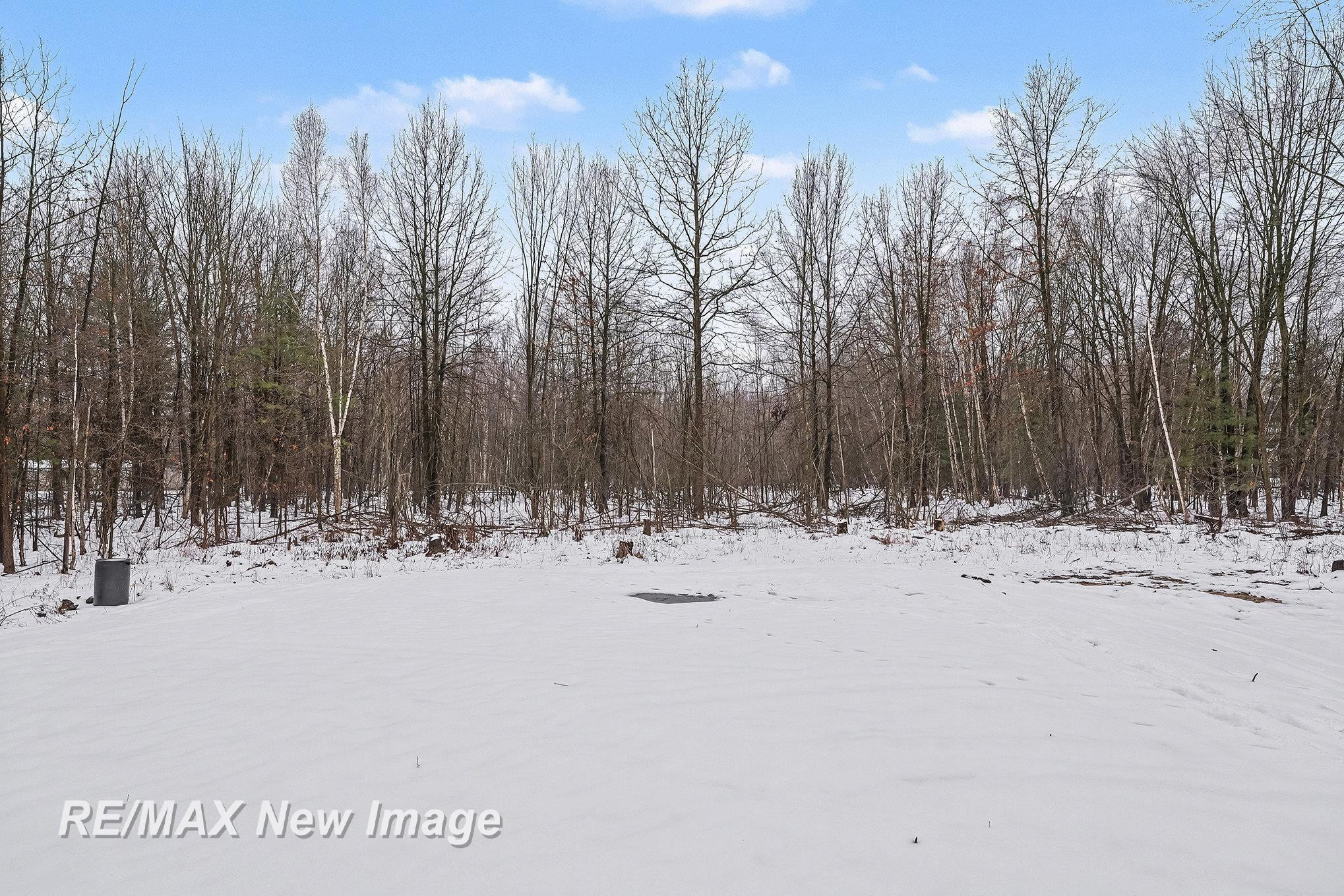 18925 W Townline Road, Saint Charles, MI 48655 — Photo 18