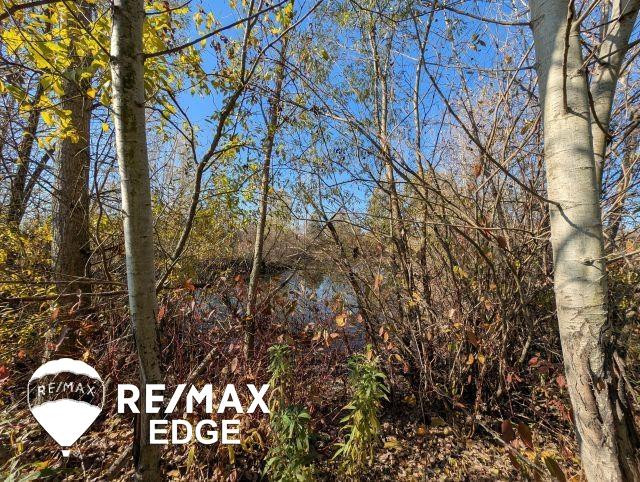 1301 Vernor Road, Lapeer, MI 48446 — Photo 28