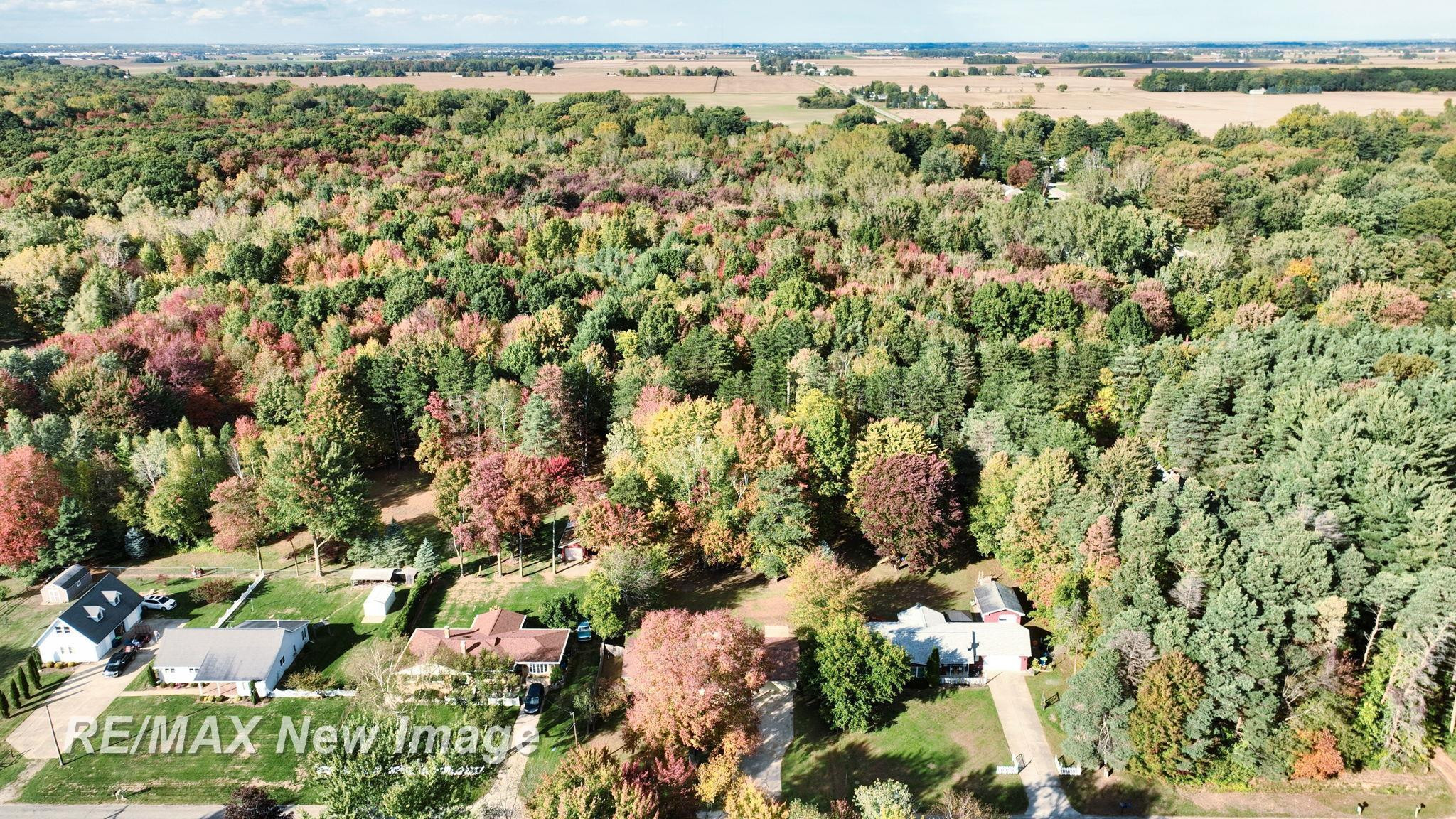5885 McGrandy Road, Bridgeport, MI 48722 — Photo 69