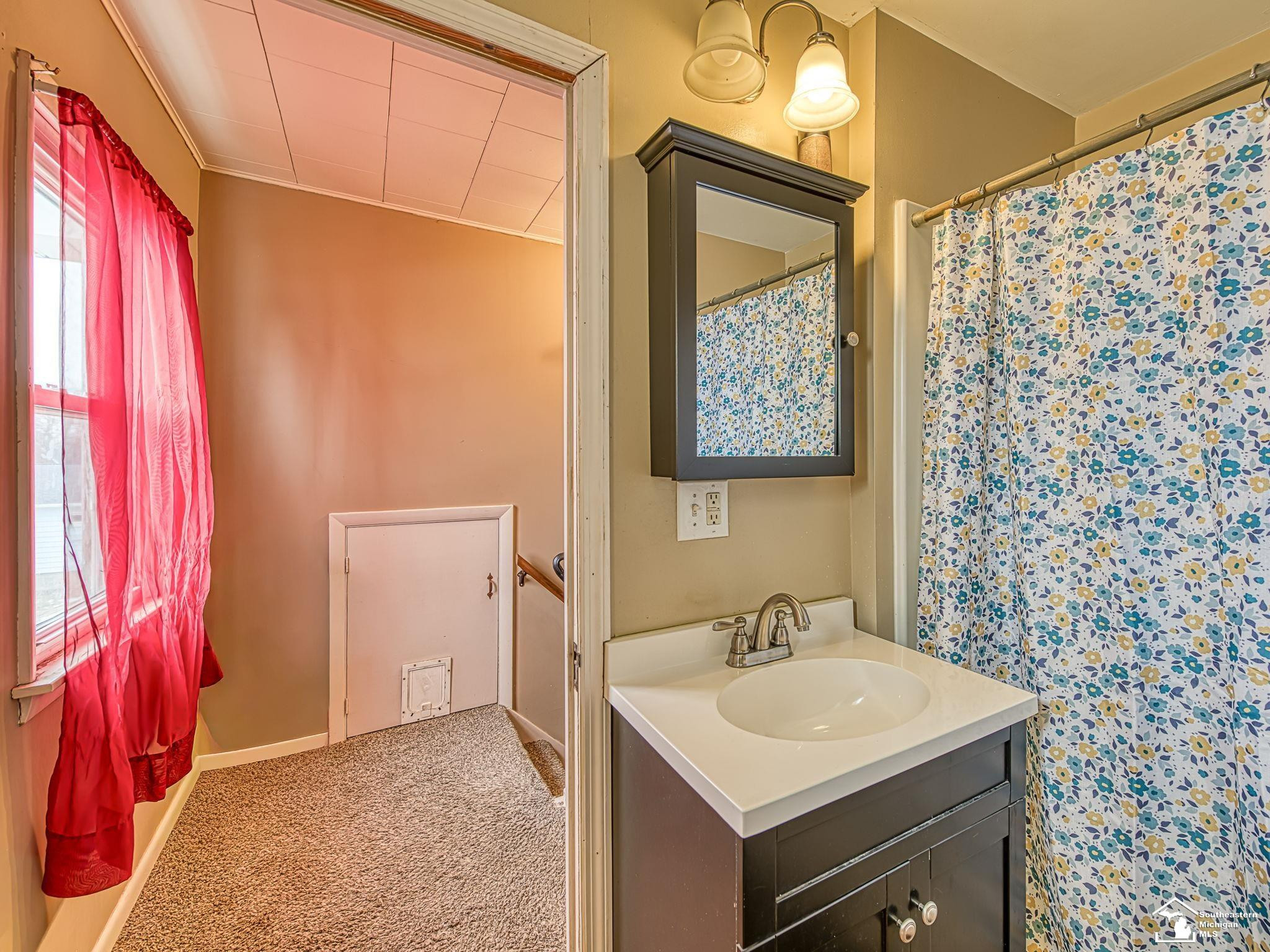336 E Chicago Boulevard, Britton, MI 49229 — Photo 20
