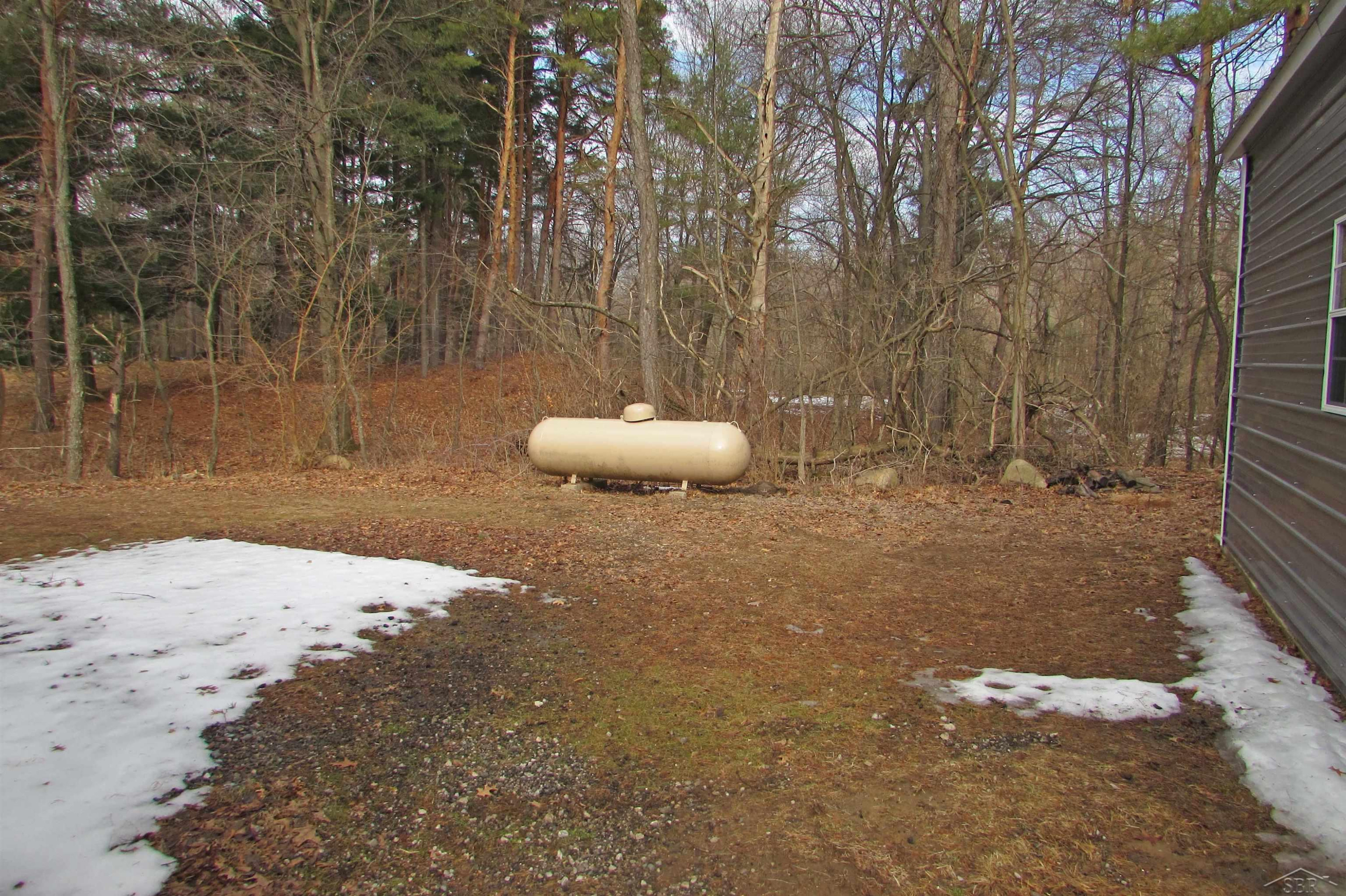 4172 Chesaning Road, Chesaning, MI 48616 — Photo 9