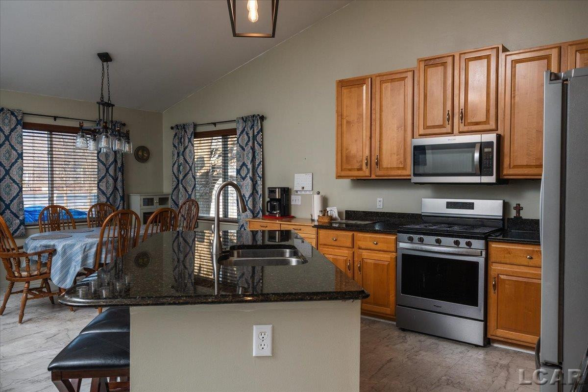 8266 Irish Mist Drive, Onsted, MI 49265 — Photo 4