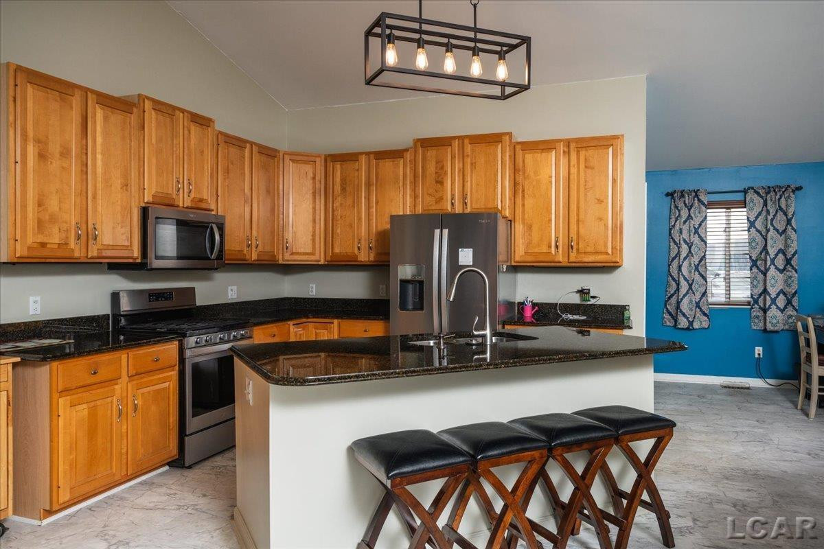 8266 Irish Mist Drive, Onsted, MI 49265 — Photo 5