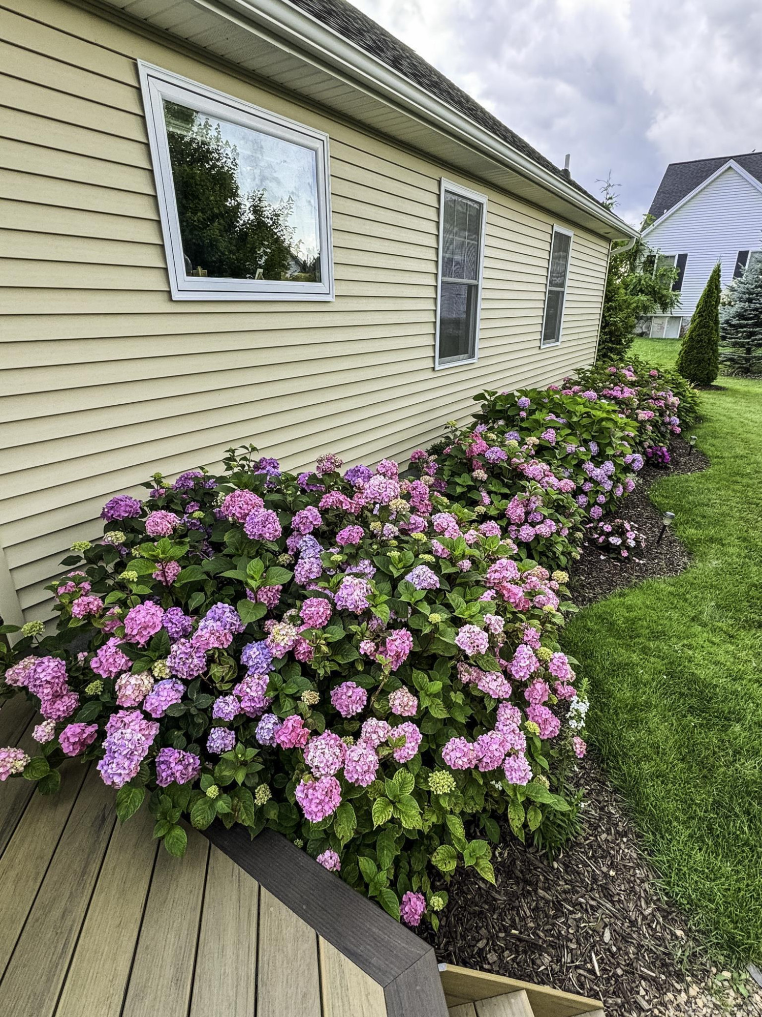 7006 Greenbush Lane, Lexington, MI 48450 — Photo 58
