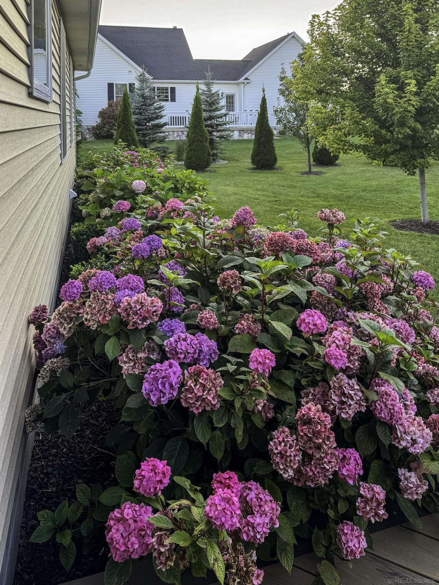 7006 Greenbush Lane, Lexington, MI 48450 — Photo 59