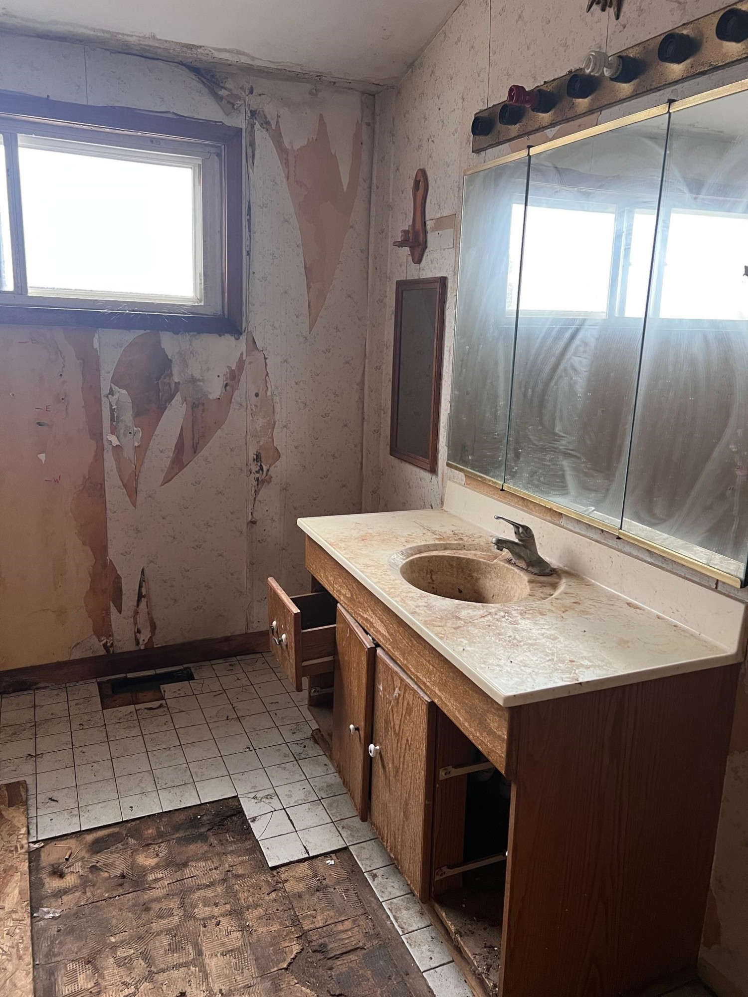 314 N Main Street, Perry, MI 48872 — Photo 12
