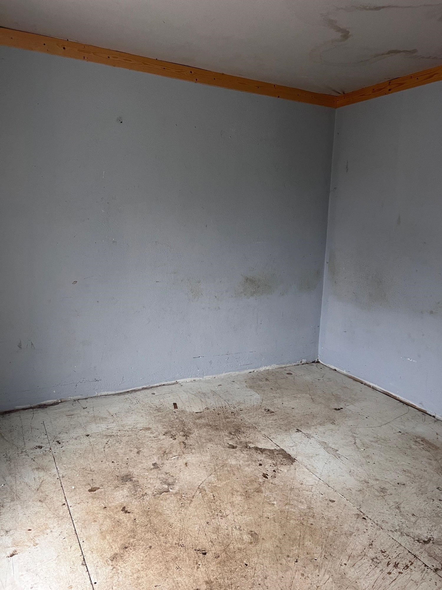 314 N Main Street, Perry, MI 48872 — Photo 14