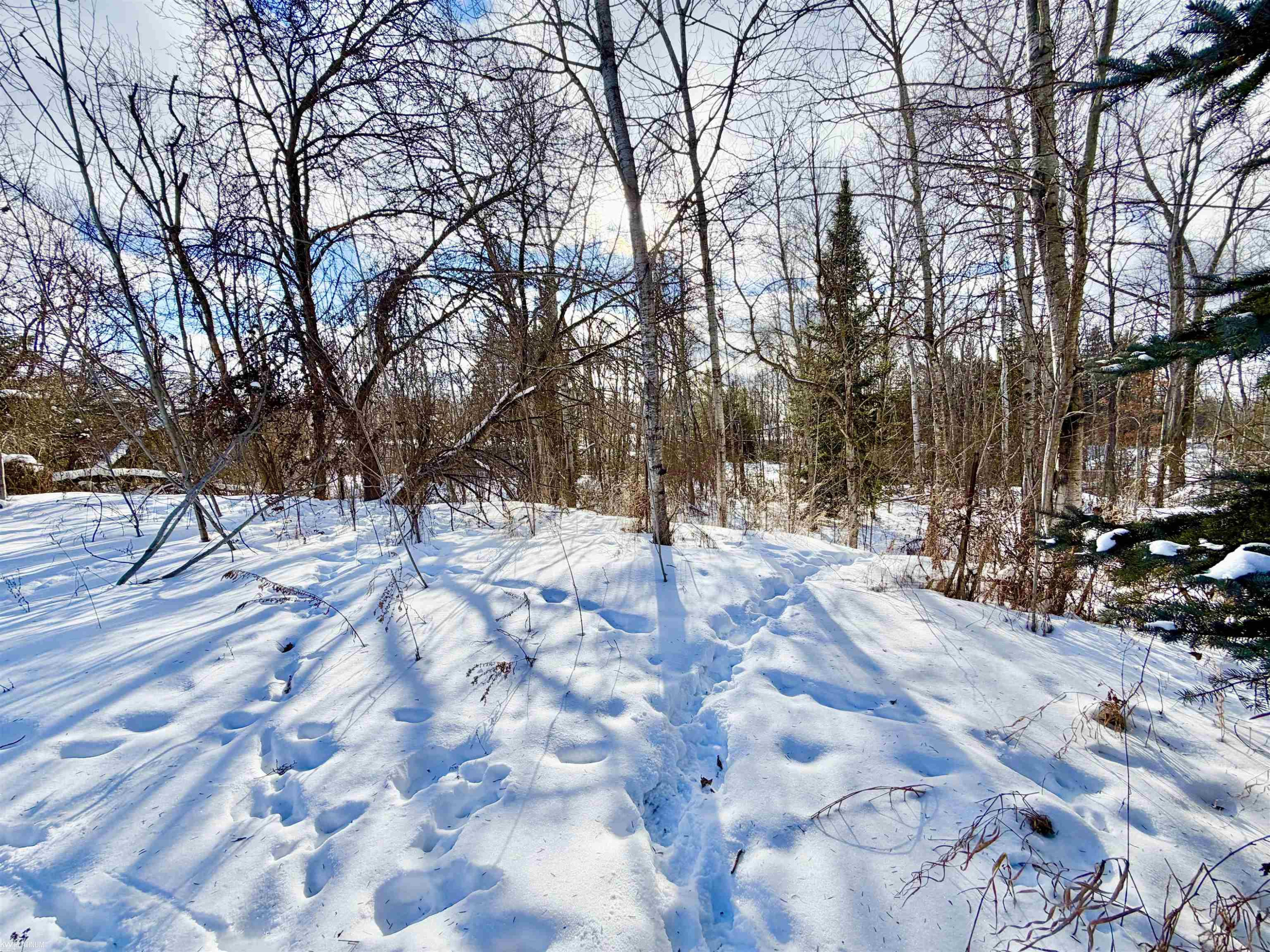 100 S Nellsville Road, Houghton Lake, MI 48629 — Photo 8