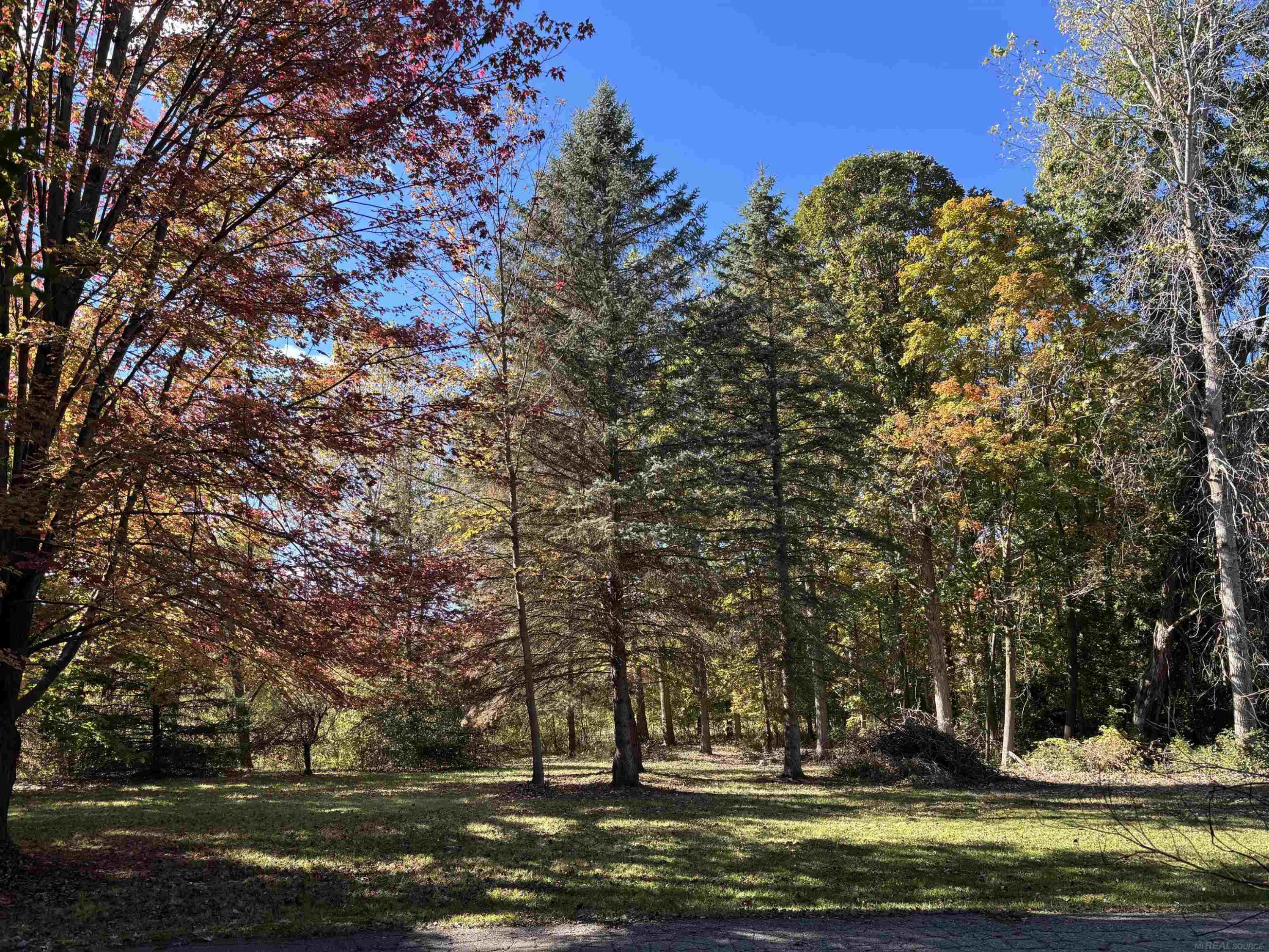 0 Simcheck Drive, Northville, MI 48167 — Photo 6
