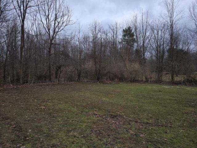 7628 N Latson Road, Howell, MI 48855 — Photo 19
