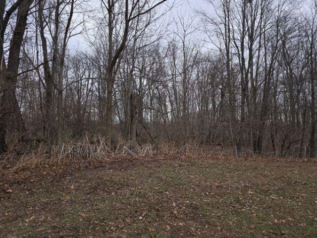 7628 N Latson Road, Howell, MI 48855 — Photo 20