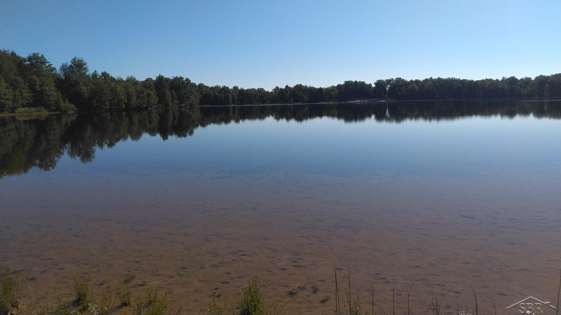1252 W Erickson Road, Linwood, MI 48634 — Photo 28