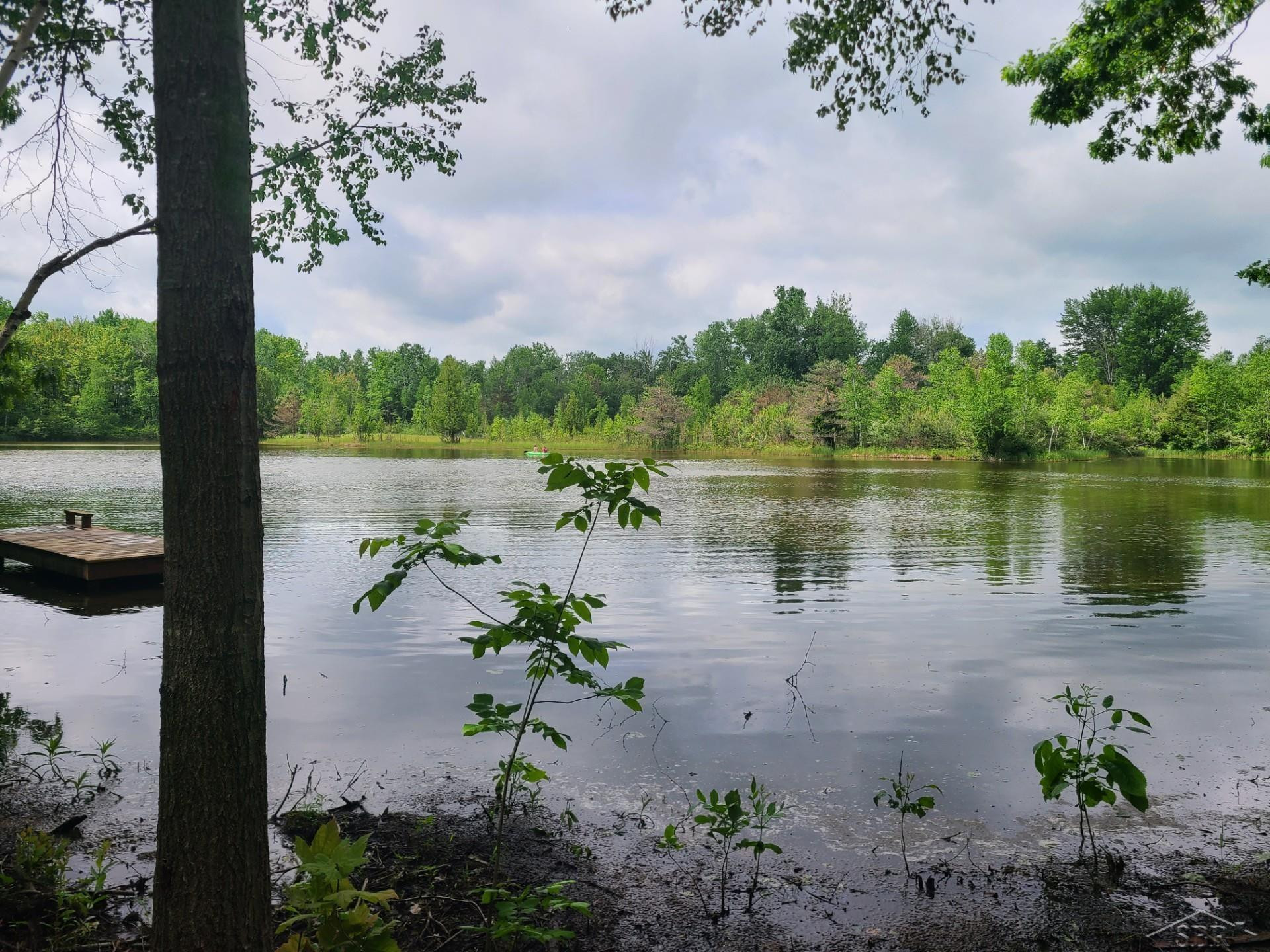 1252 W Erickson Road, Linwood, MI 48634 — Photo 30
