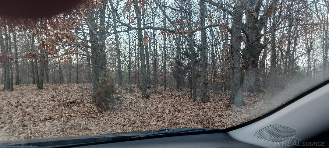 87573 County Road 668, Decatur, MI 49045 — Photo 3