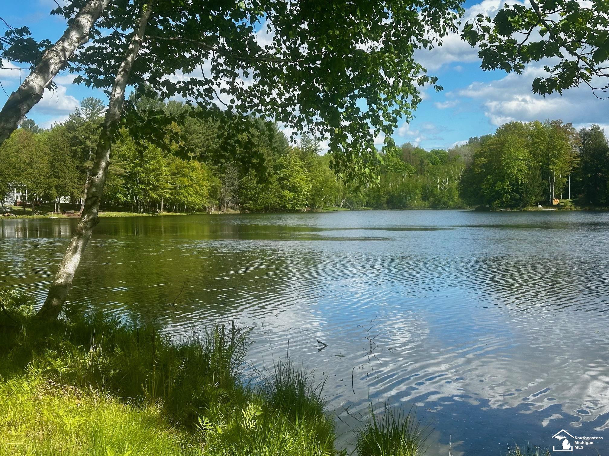 9835 Miramichi Drive, Evart, MI 49631 — front exterior