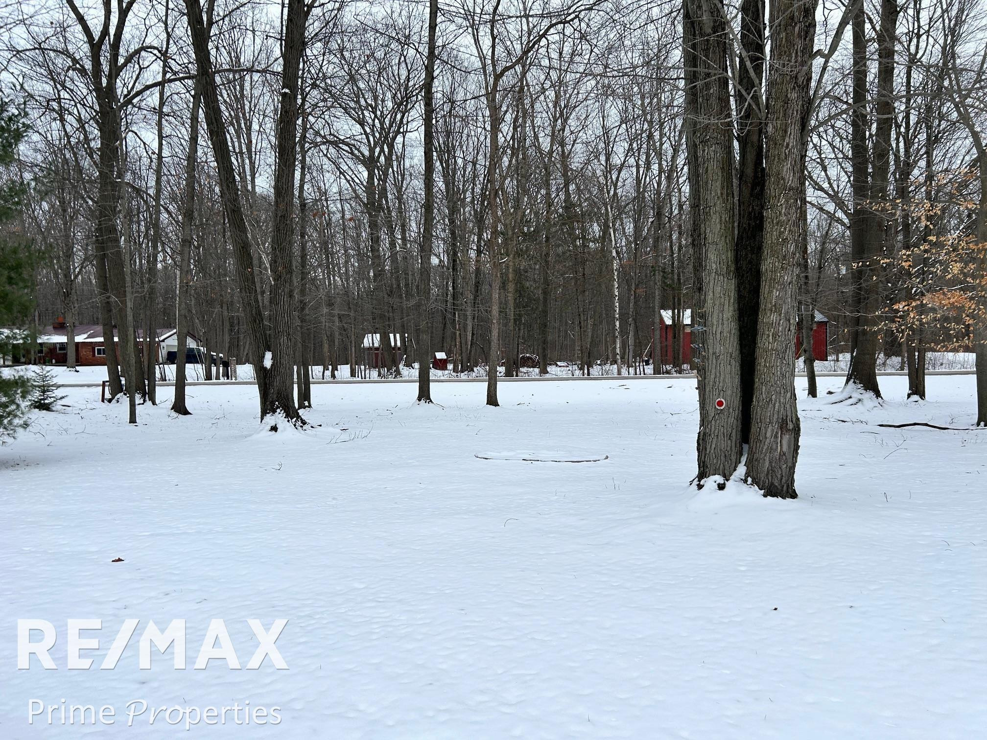 14395 Montle Road, Clio, MI 48420 — Photo 45