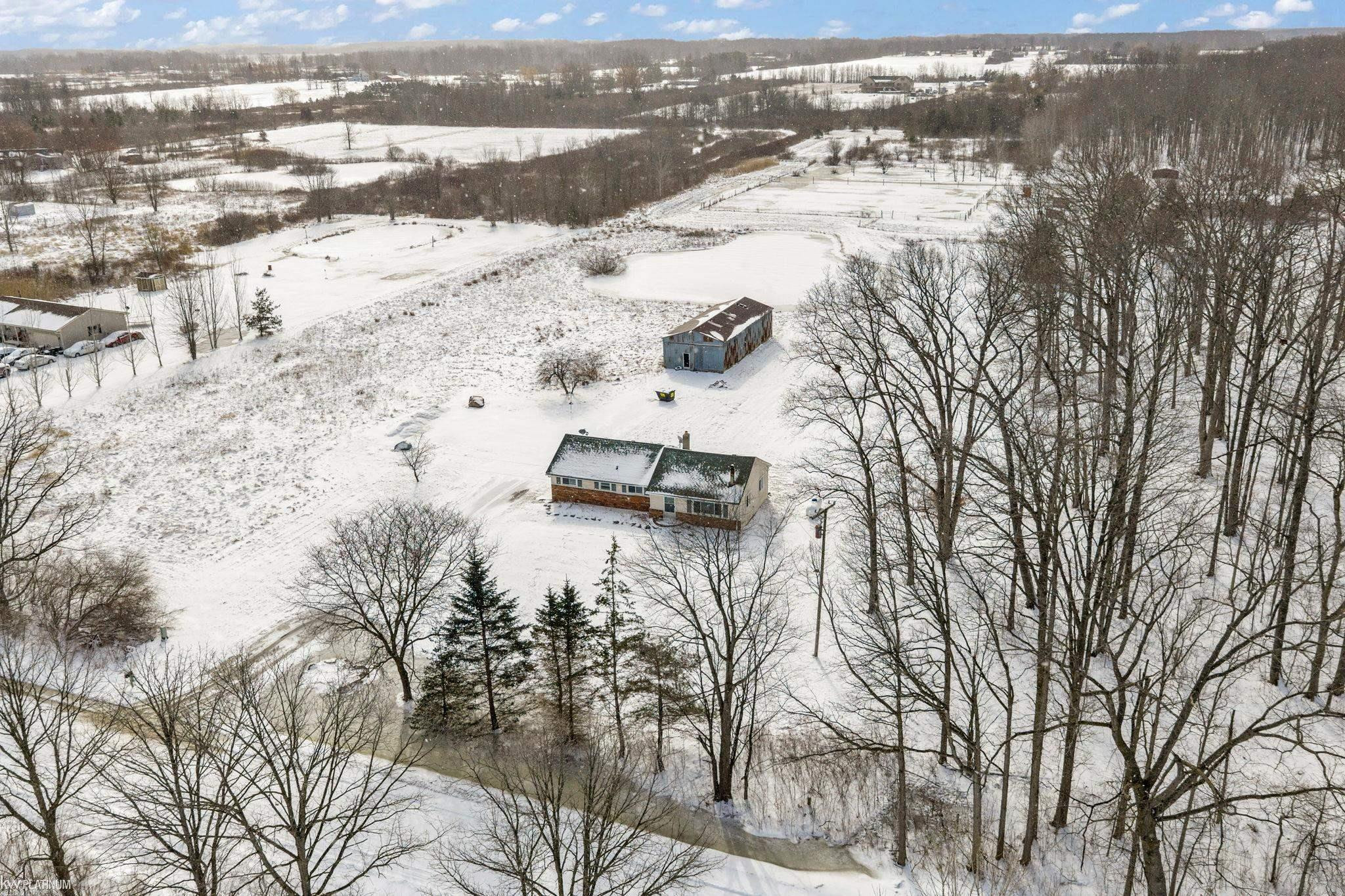 12337 Dunn Road, MI — Photo 5