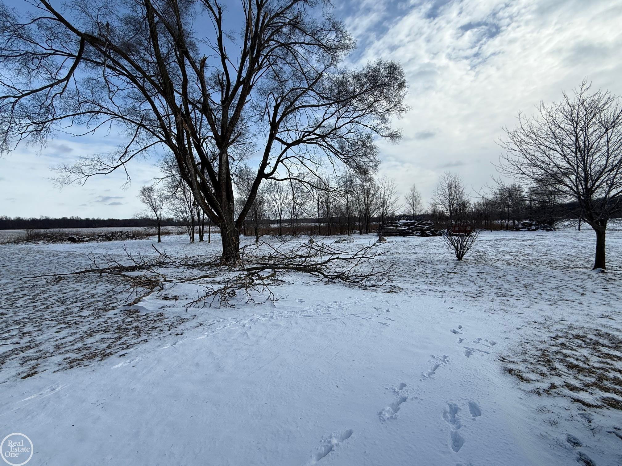 78730 Brown Road, MI 48065 — Photo 16